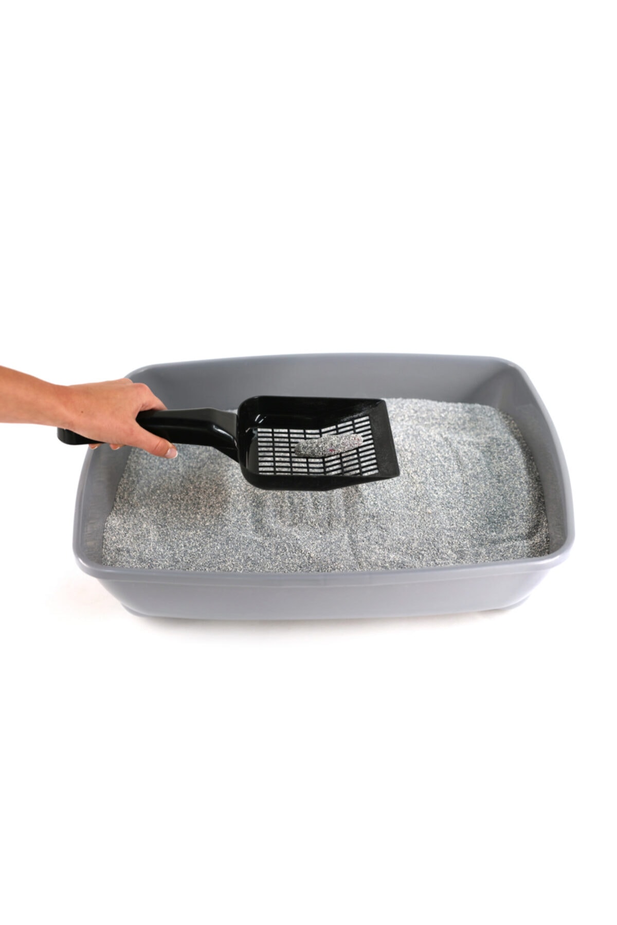 خاک گربه اور کلین Ever Clean Total Cover، ۱۰ لیتری