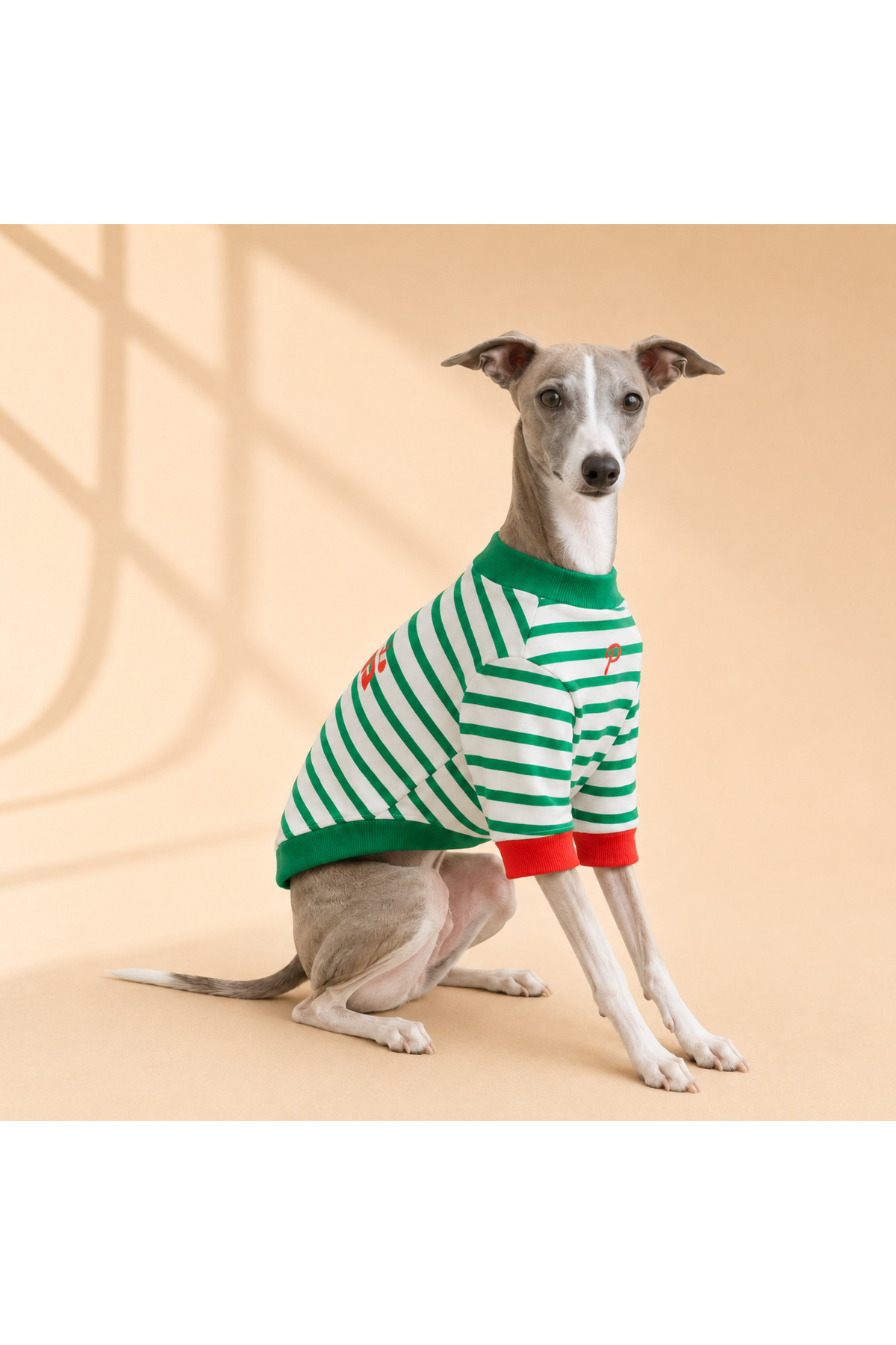 سویشرت نخی سگ راه‌راه سبز پاپیا Puppia مدل VLR-GREEN-STRIPE-01