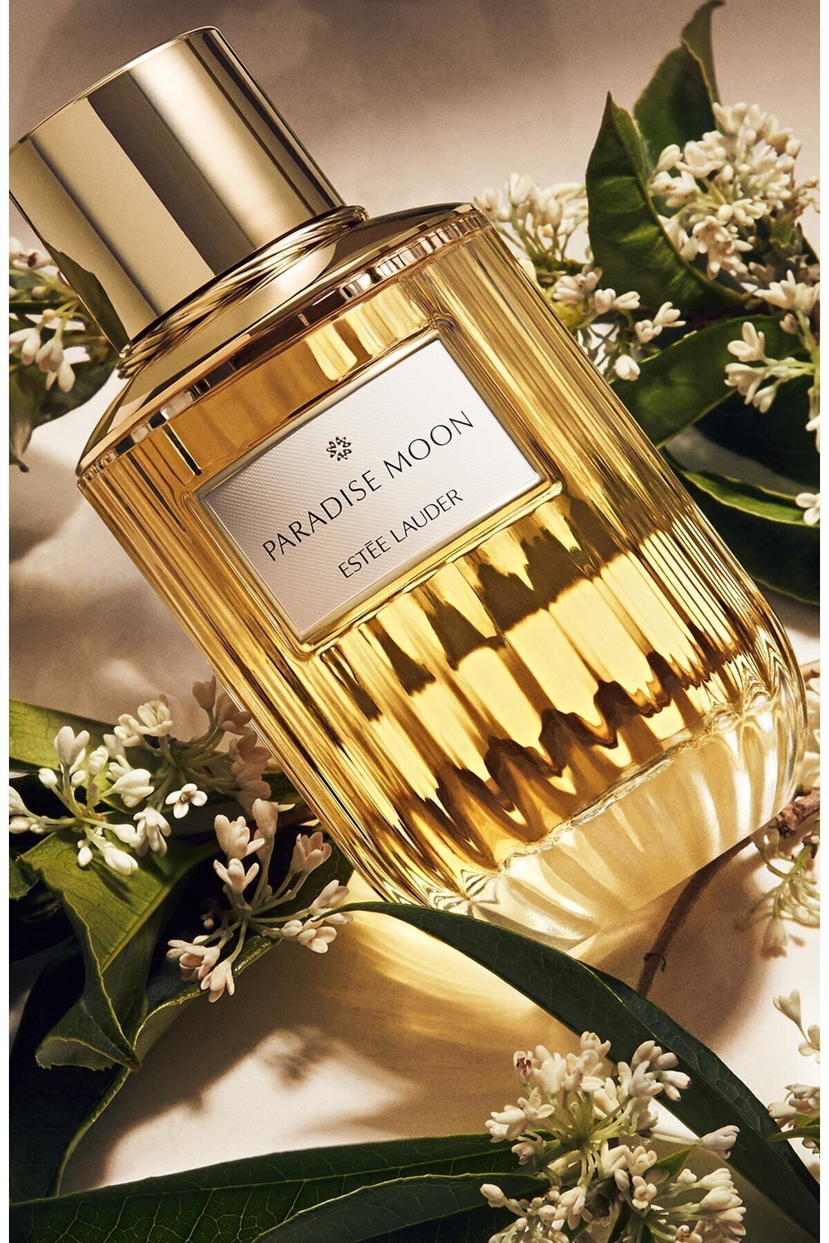 Estee Lauder Paradise Moon - ادوپرفیوم 100 ml عطر زنانه مجموعه عطرهای لوکس