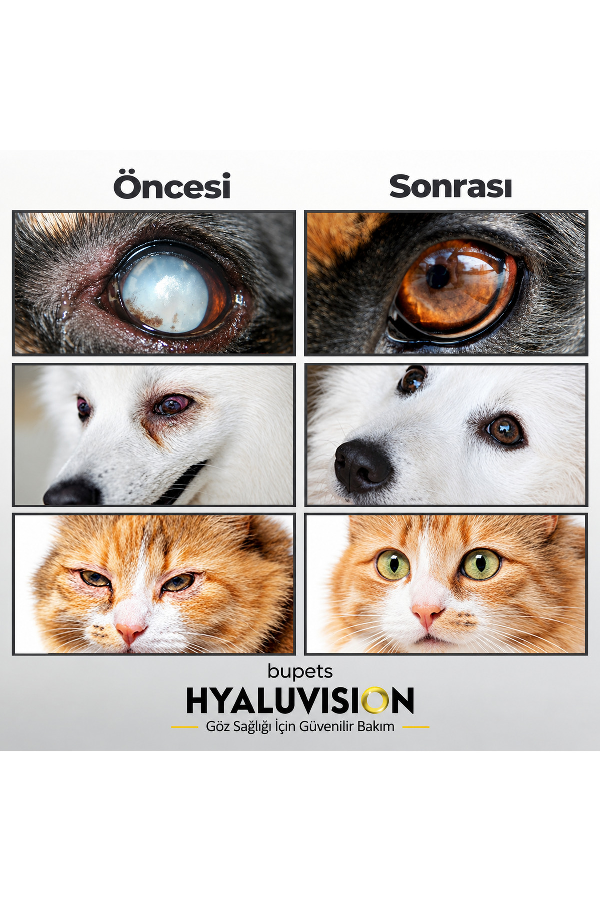 قطره مراقبت از چشم سگ و گربه بوپتس Bupets Hyaluvision، ۲۰ میلی‌لیتر