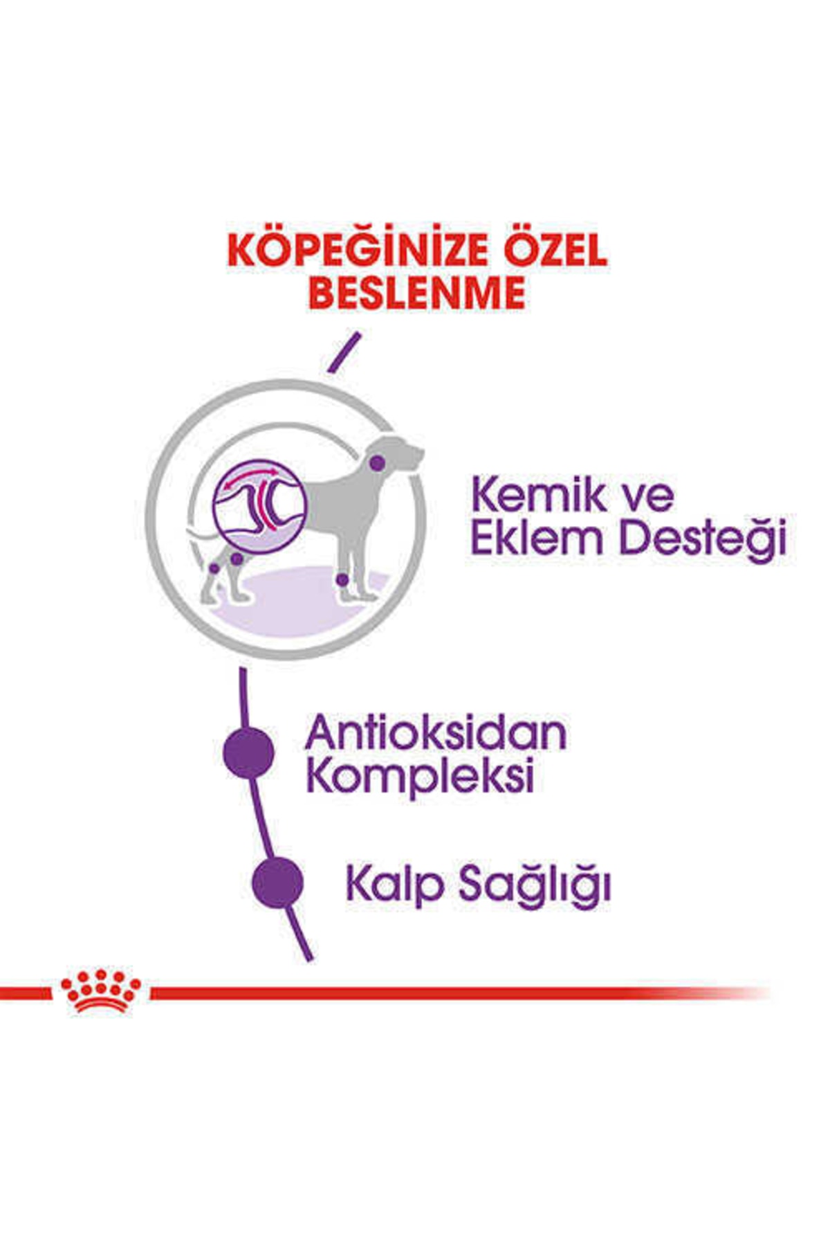 غذای خشک سگ بالغ نژاد غول‌پیکر رویال کنین Royal Canin، طعم بره، ۱۵ کیلوگرم