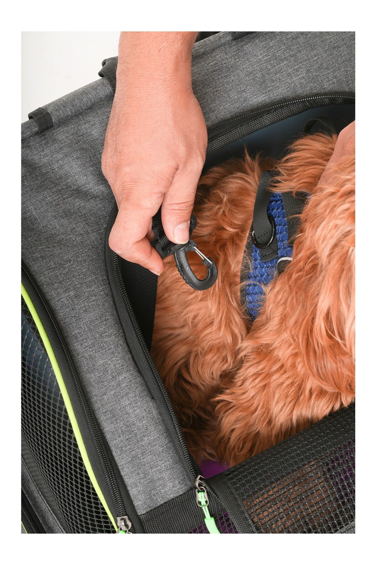 کیف حمل گربه و سگ پیرامید XL بریو پاوز BRAVE PAWS، تهویه‌دار طوسی