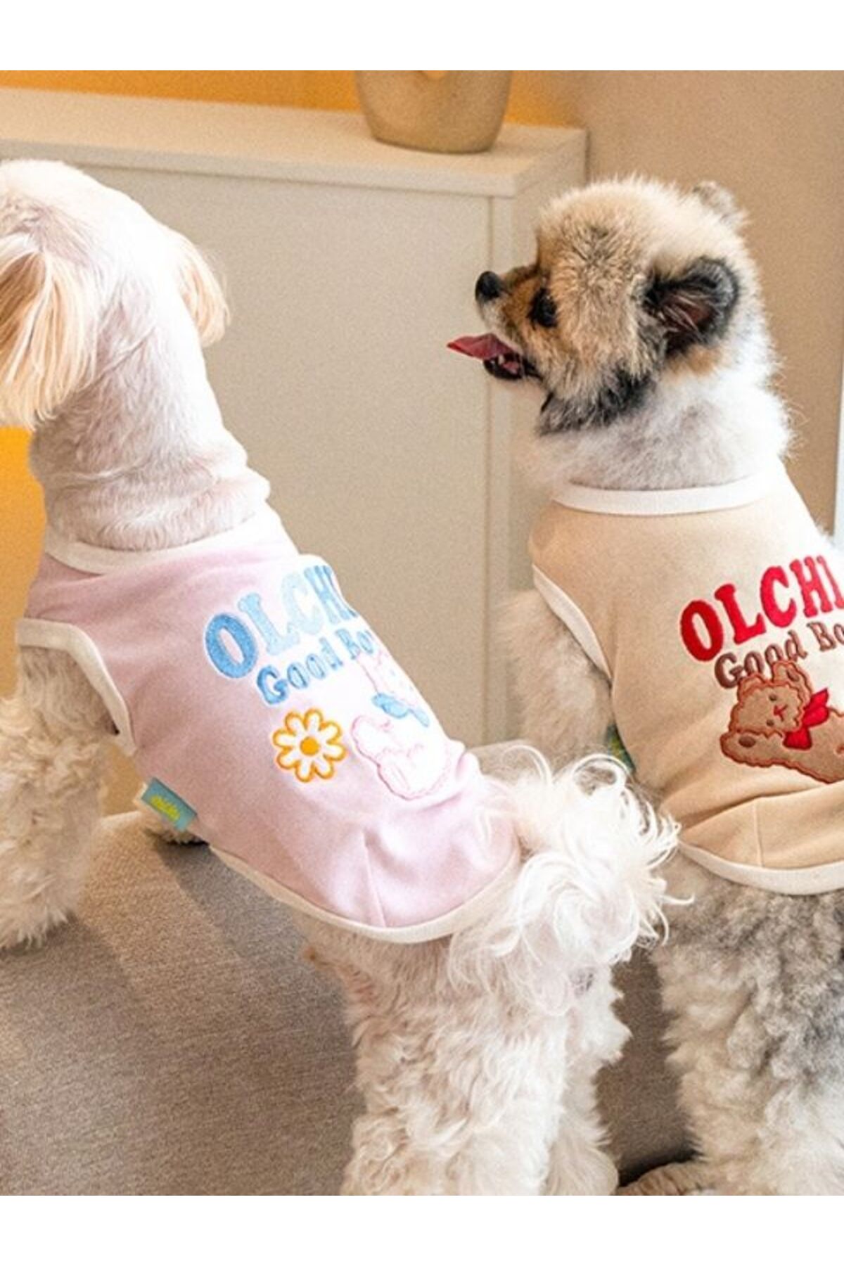 لباس سگ اولچی Olchi مدل Good Bunny، کد OAZA-TS6796 صورتی