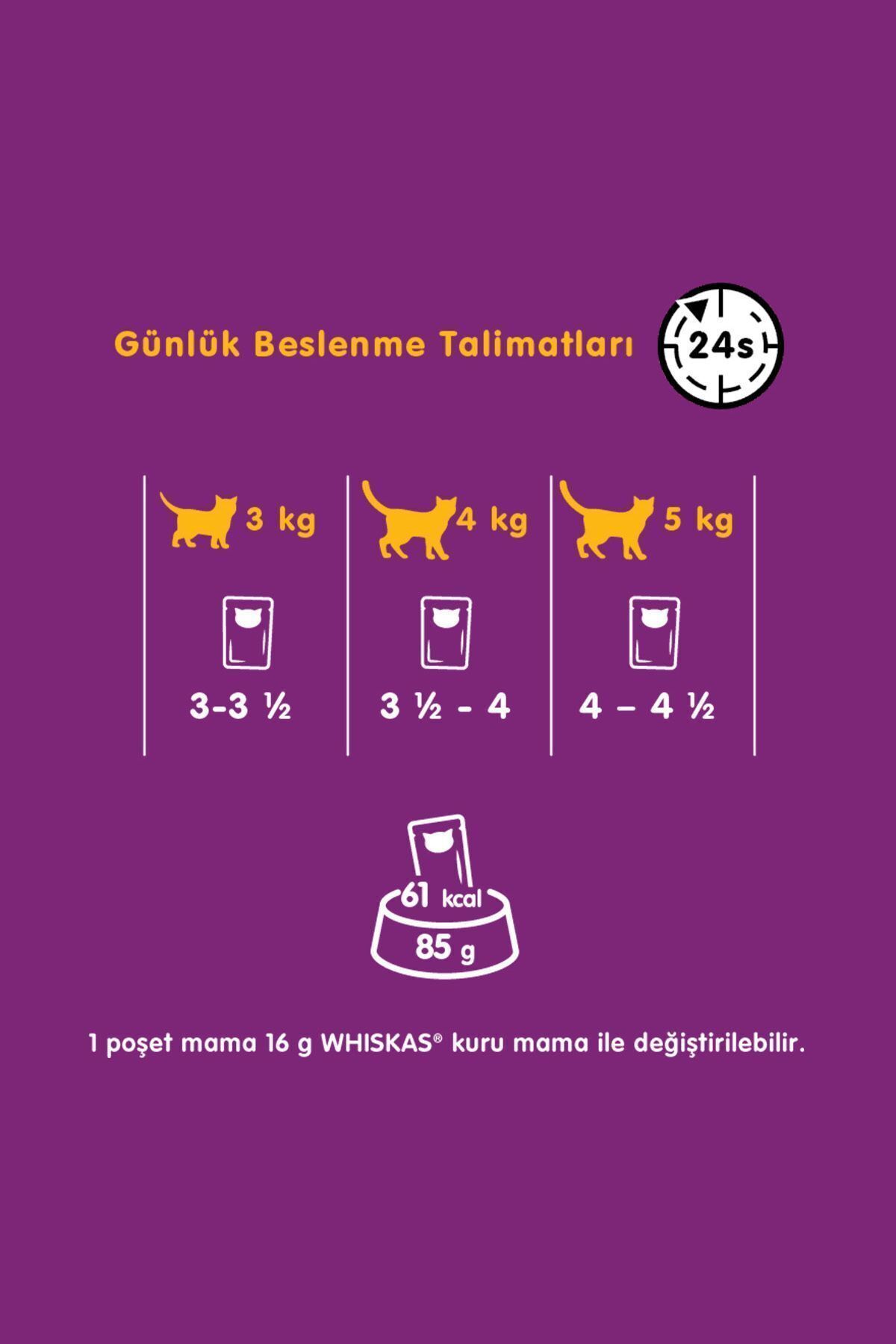 غذای کنسروی گربه ویسکاس Whiskas، بسته ۲۴ عددی ۸۵ گرمی