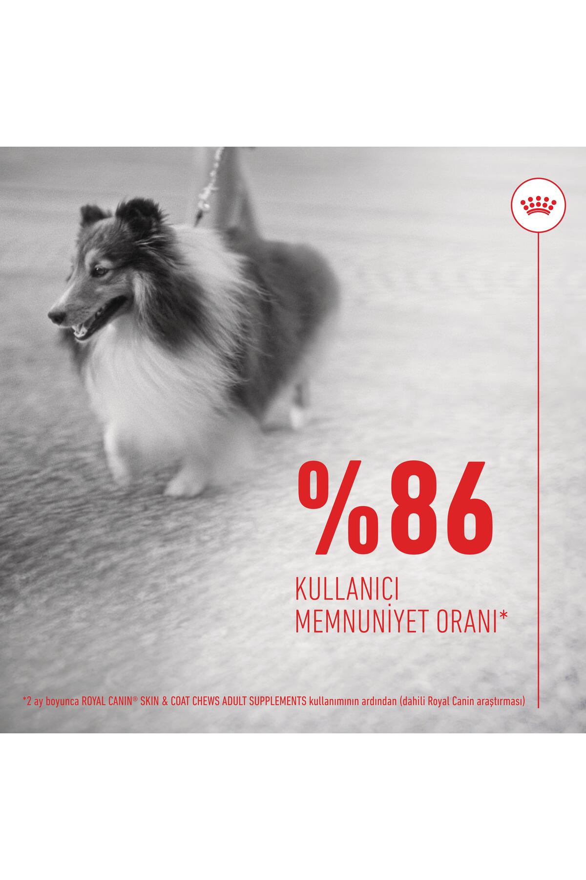 تشویقی مکمل سگ رویال کنین Royal Canin Skin&Coat، ۲۴۰ گرم
