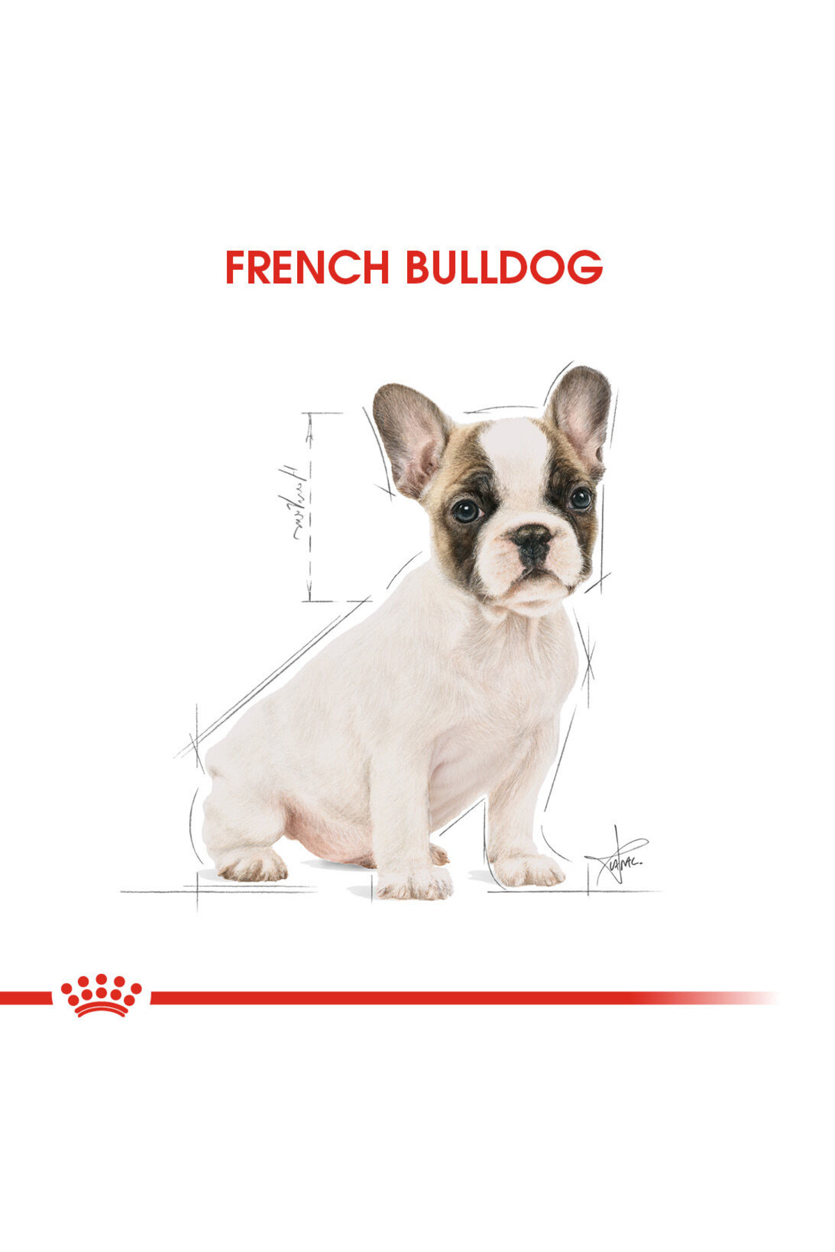 غذای خشک توله‌سگ بولداگ فرانسوی ۳ کیلوگرمی رویال کنین Royal Canin