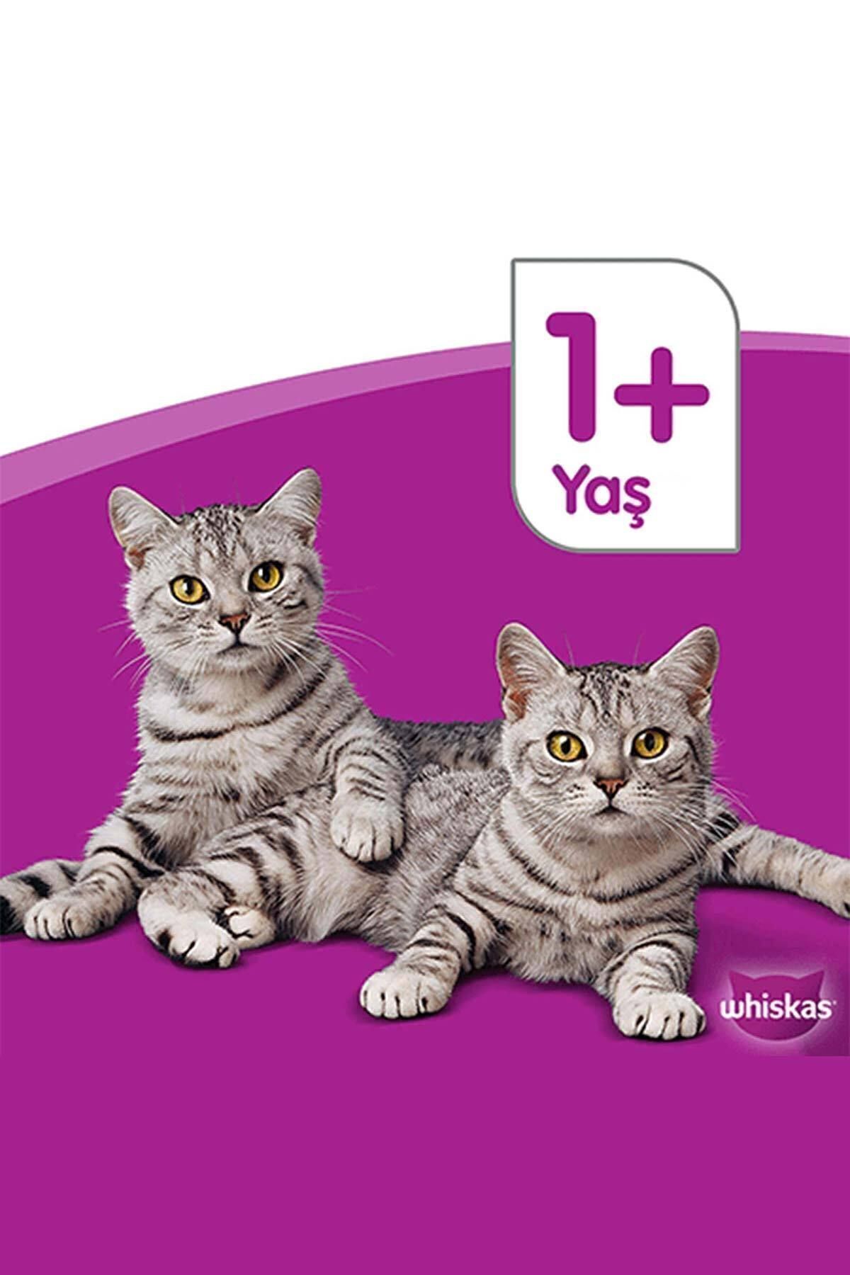 غذای خشک گربه ویسکاس Whiskas با طعم گوشت گاو، بزرگسال، ۳٫۸ کیلوگرم 3,8 Kg
