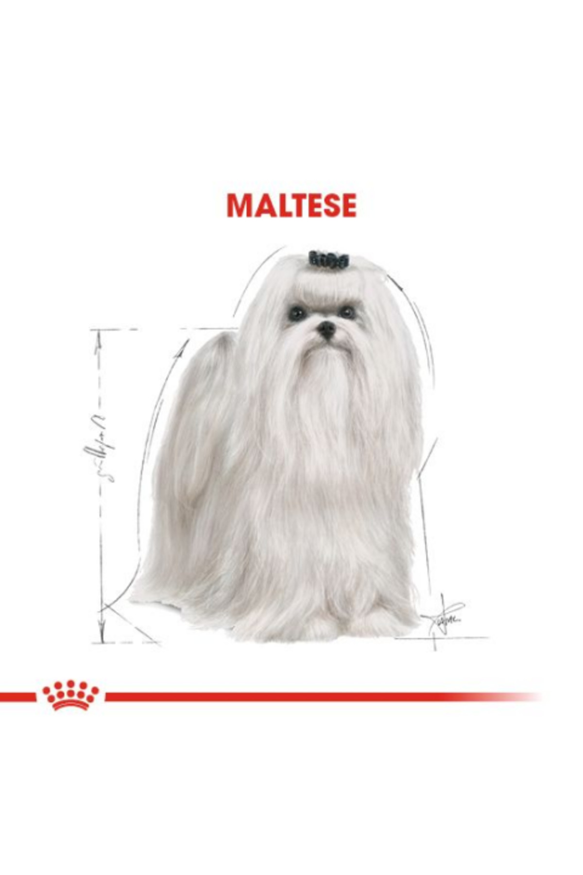غذای خشک سگ مالتیز بالغ رویال کنین Royal Canin، ۱٫۵ کیلوگرم 1.5 kg
