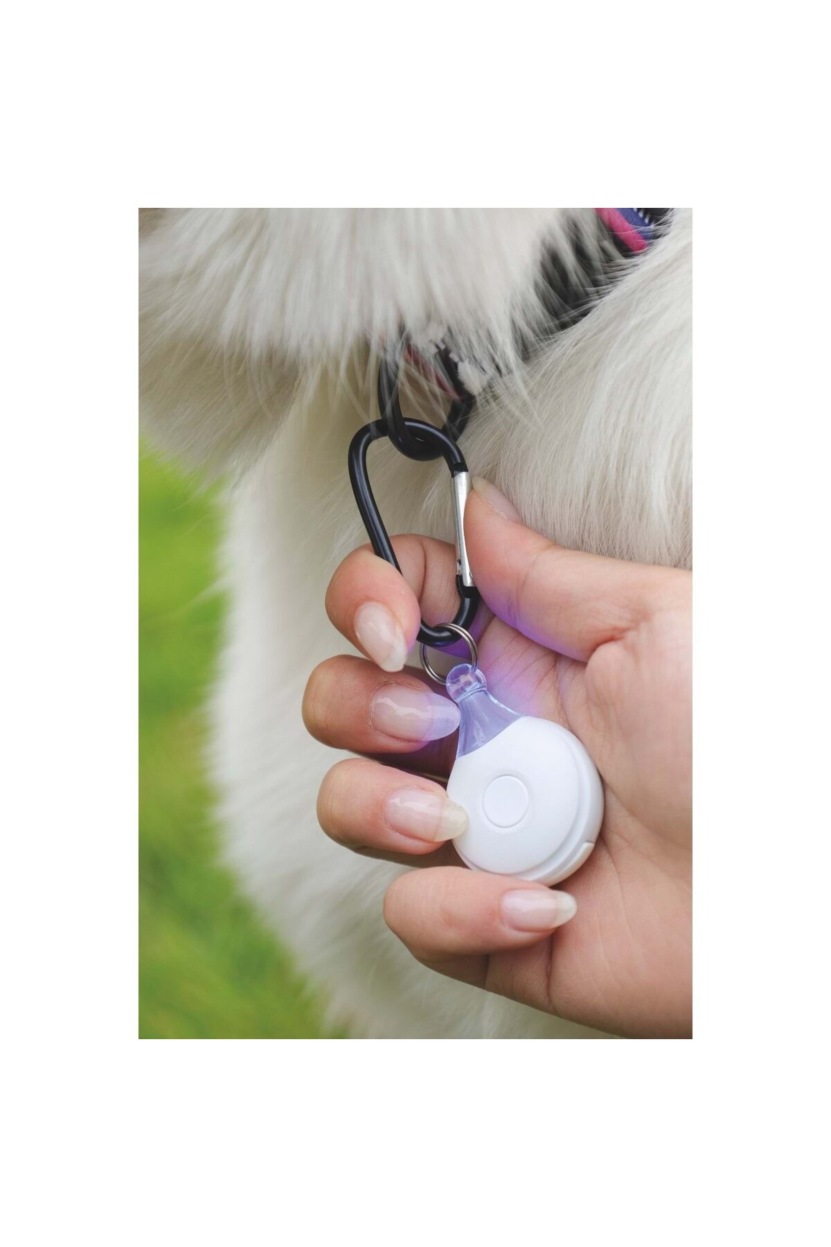 قلاده اولتراسونیک دفع کک و کنه سگ ام‌پتس M-PETS Fearless