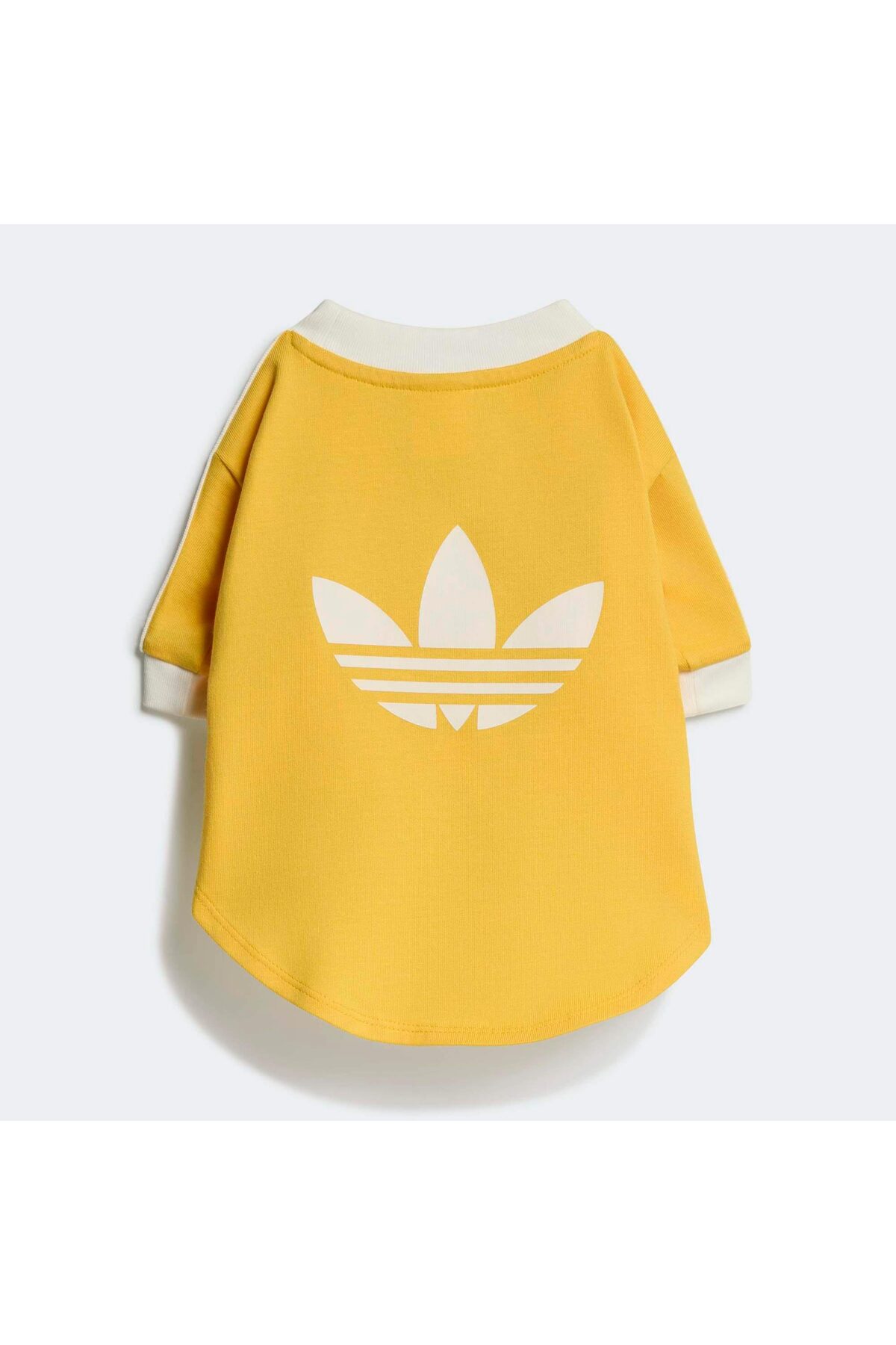 تی‌شرت سگ Cali زرد آدیداس adidas Originals، کد KY8731