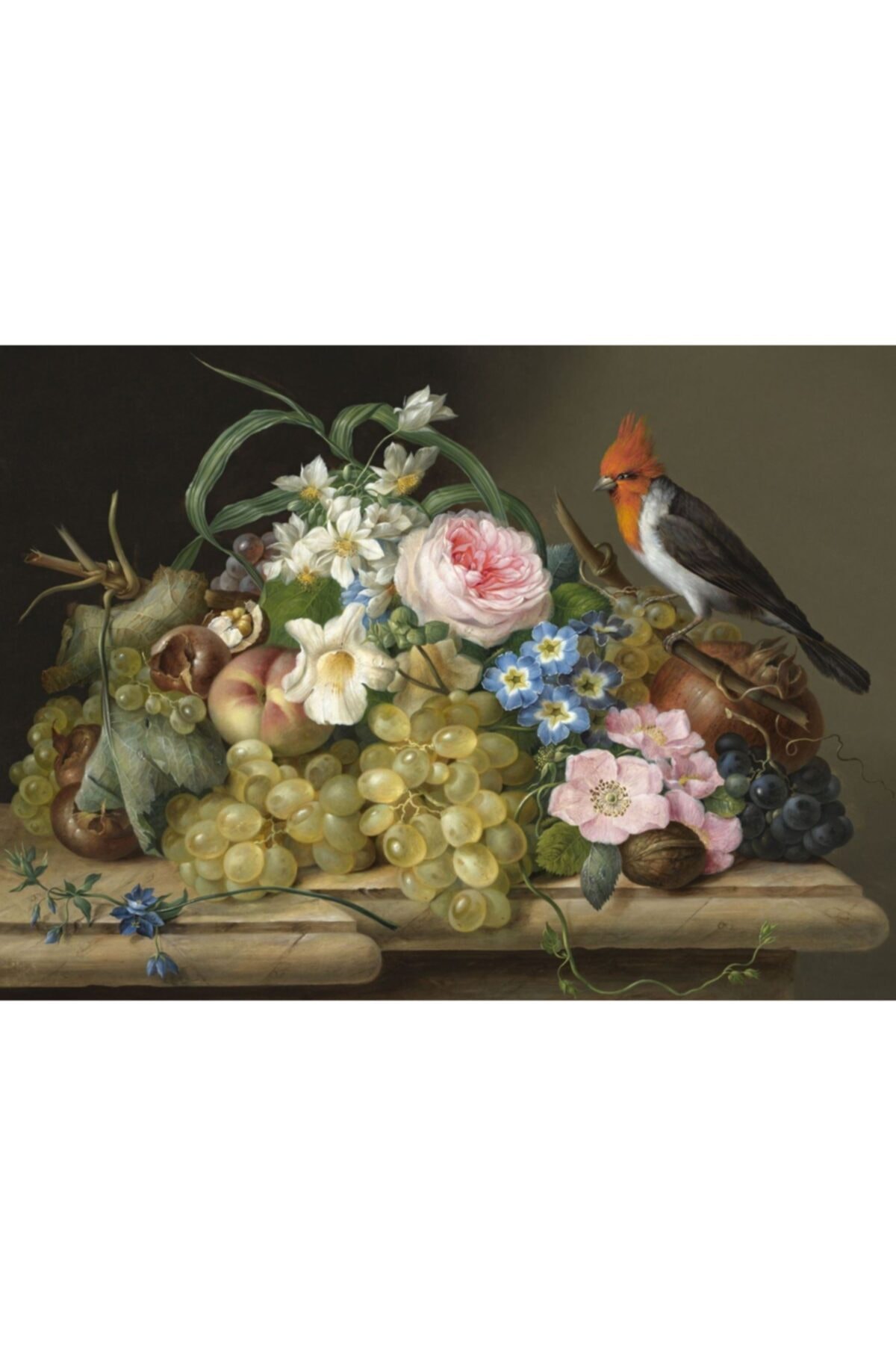 پازل NOVA 1000 PIECE FLOWER FRUIT AND BIRD STILL LIFE از ترکیه Nova Puzzle