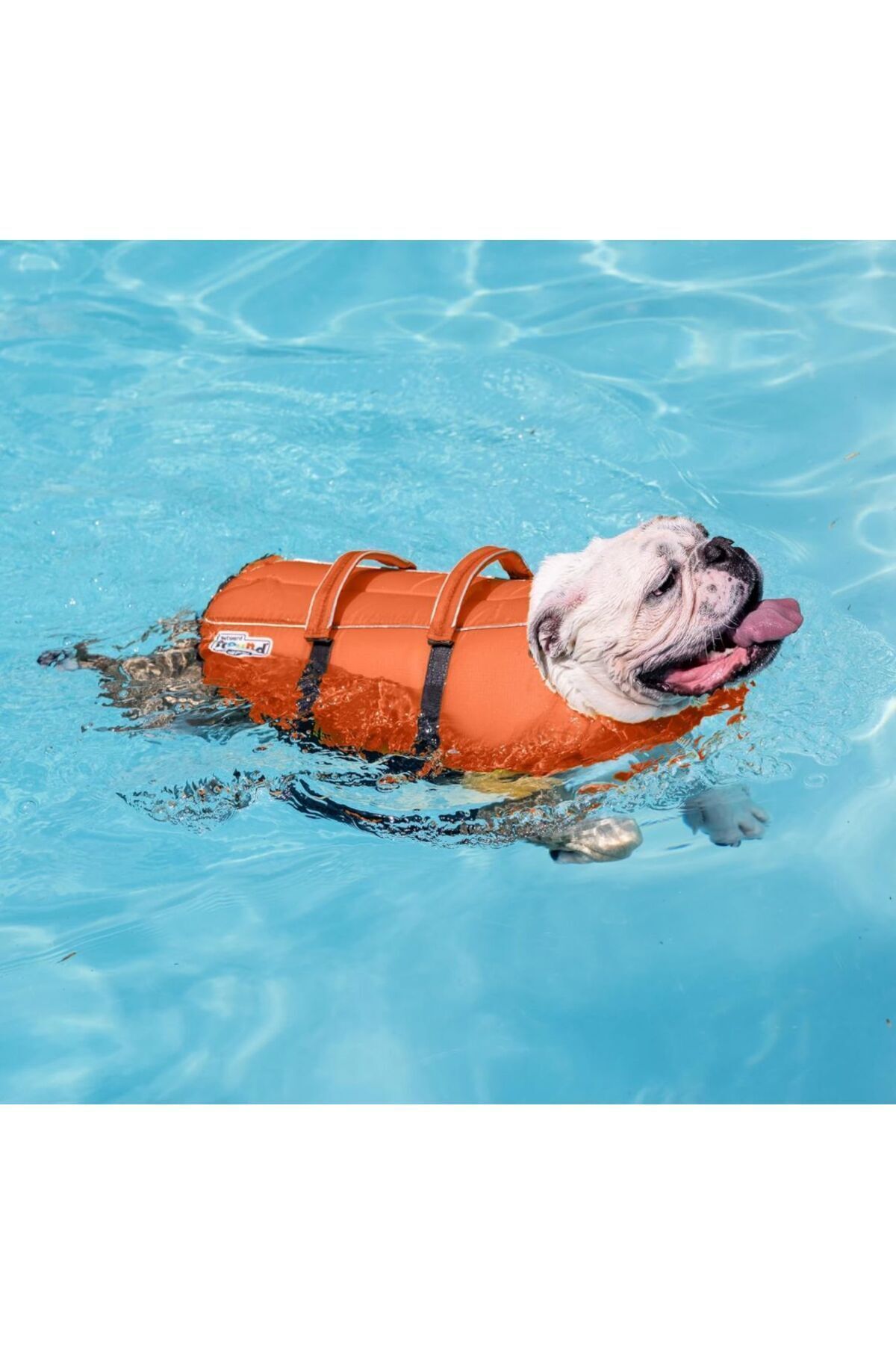 جلیقه نجات سگ اوت‌وارد هاوند Outward Hound، سایز L، صورتی