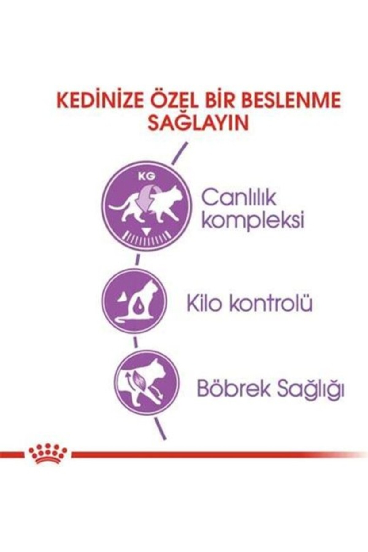 غذای خشک گربه بالغ با طعم گوشت گاو، رویال کنین Royal Canin 10 Kg