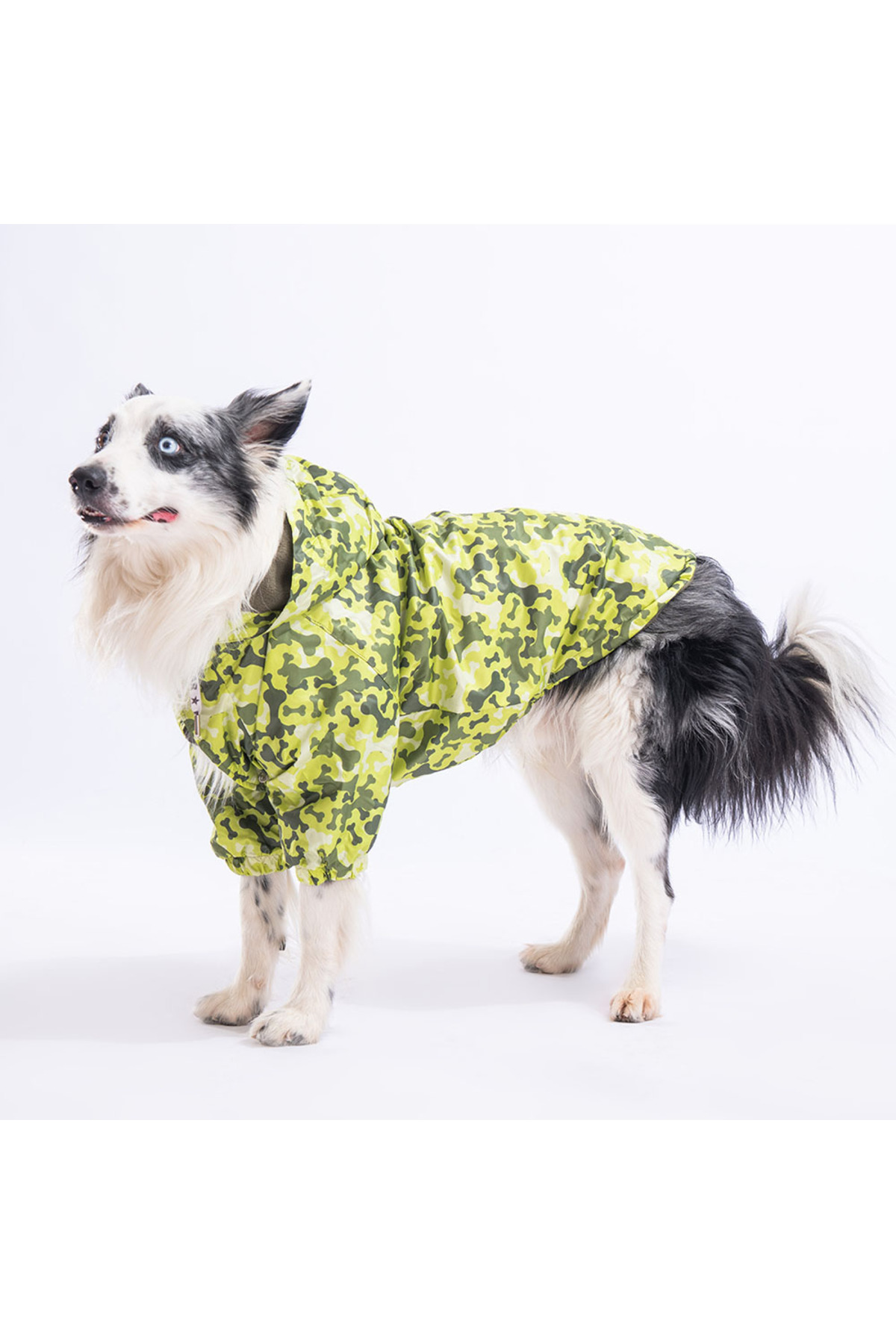 کاپشن پلار‌دار سگ پاوستار Pawstar GreenOssa مدل PM2355، سبز