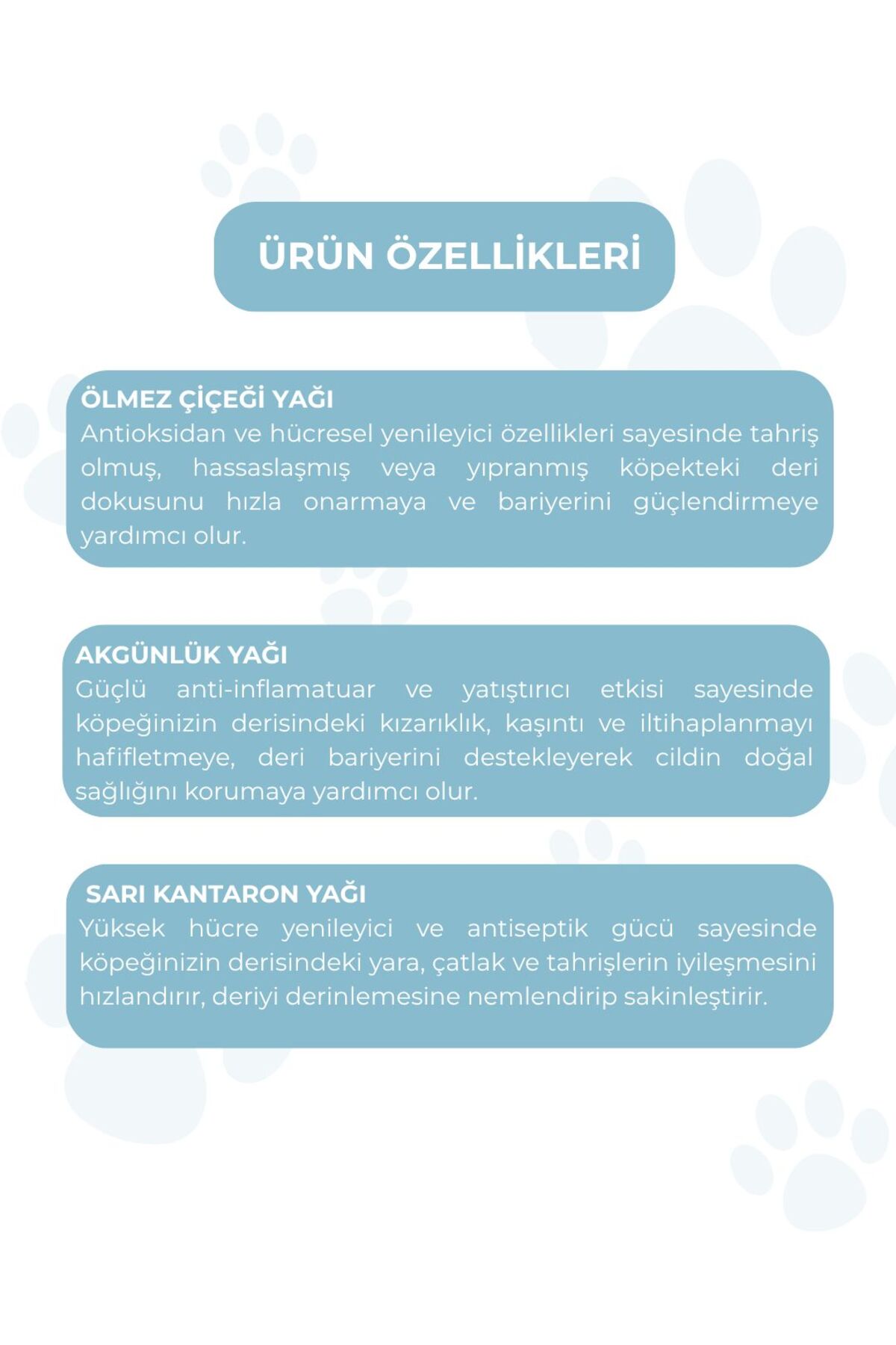 محلول مراقبت از پوست سگ مالی پت پروفشنل پت کر MALLY PET PROFESSIONEL PET CARE، ۱۰۰ میلی‌لیتر