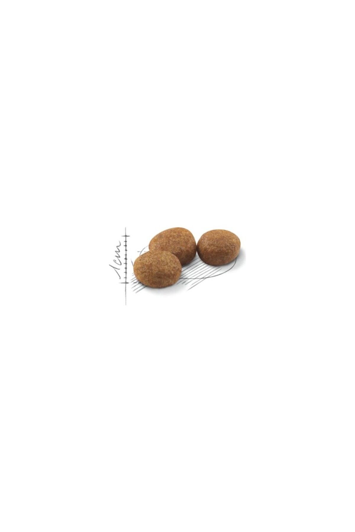 غذای خشک گربه رویال کنین Royal Canin Sterilised 37، ۱۰ کیلوگرم