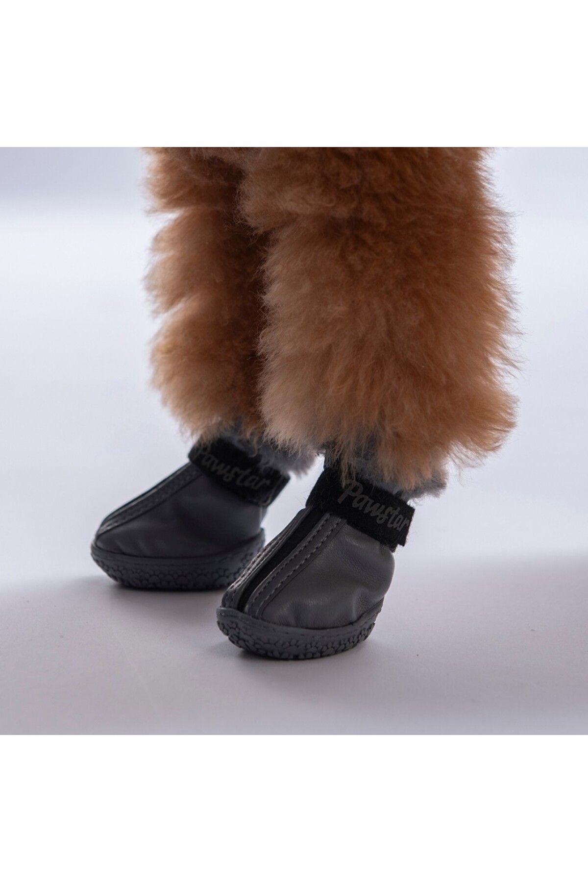 کفش چرمی خاکستری سگ پاوستار Pawstar مدل PDS-04