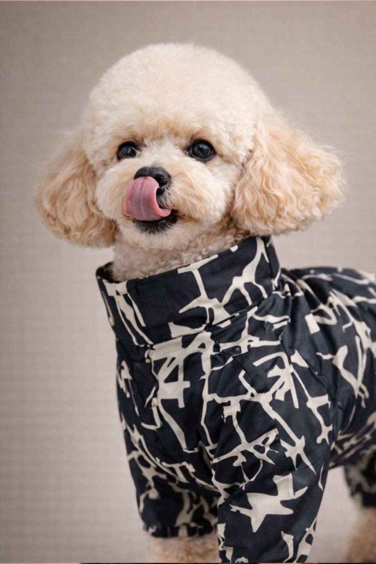 بارانی سگ آلفاداگ دیزاین Alphadog Design مدل Coverall Ligne با طراحی چهارپا، چندرنگ