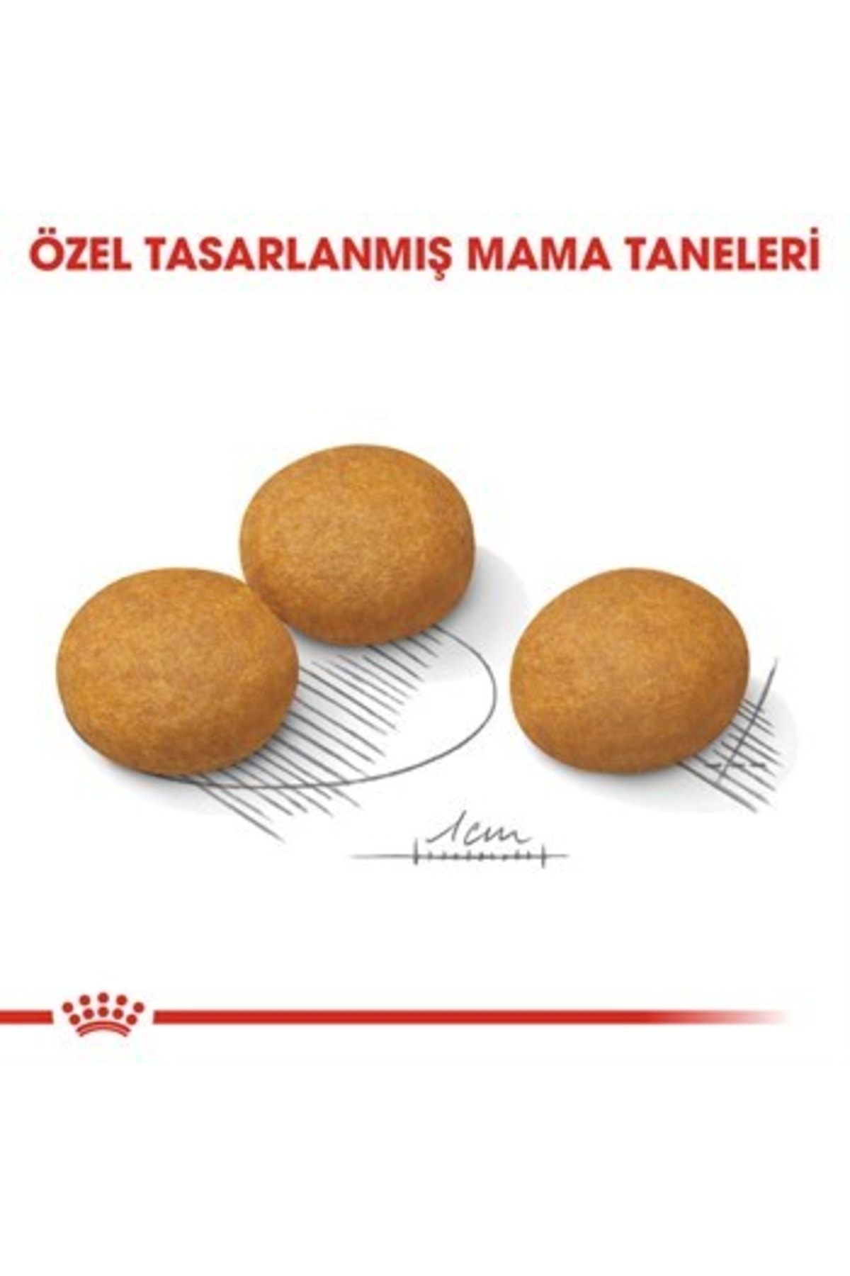 غذای خشک سگ رویال کنین Royal Canin Medium Dermacomfort، ۱۲ کیلوگرم، برای نژادهای متوسط با حساسیت پوست و مو