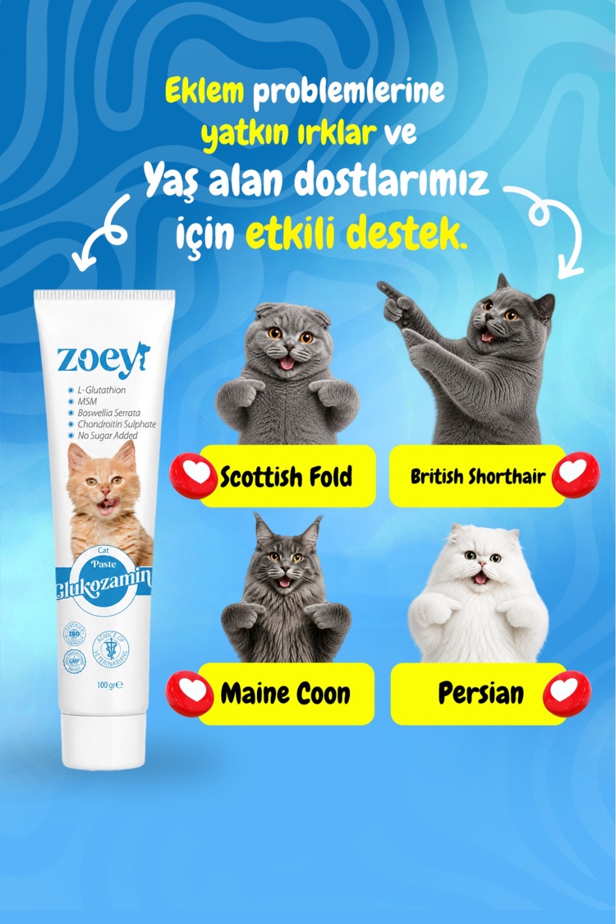 خمیر مالت گلوکزامین گربه زویی پت پروداکتس ZOEY PET PRODUCTS برای حمایت از سلامت مفاصل