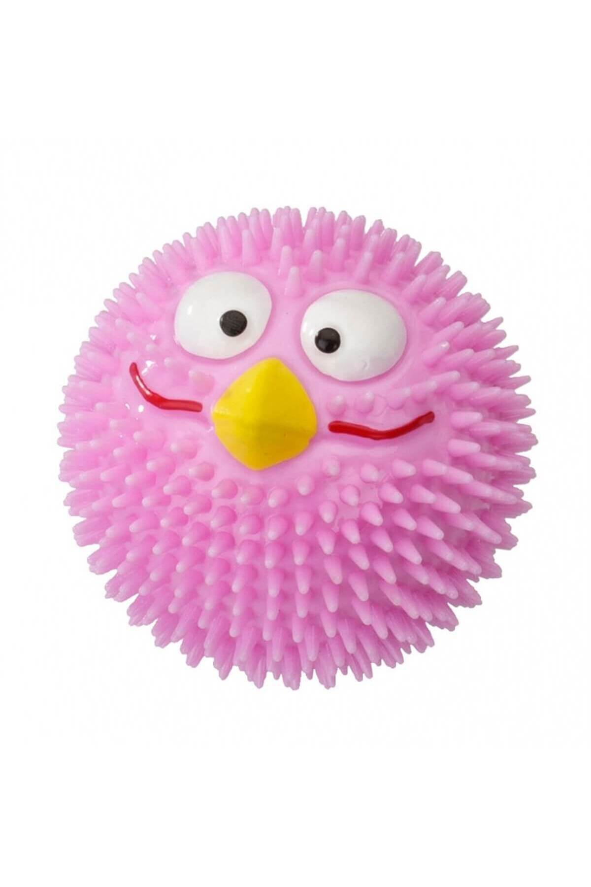 توپ بازی لاستیکی سگ دوو Duvo Rubber Lucky Bird