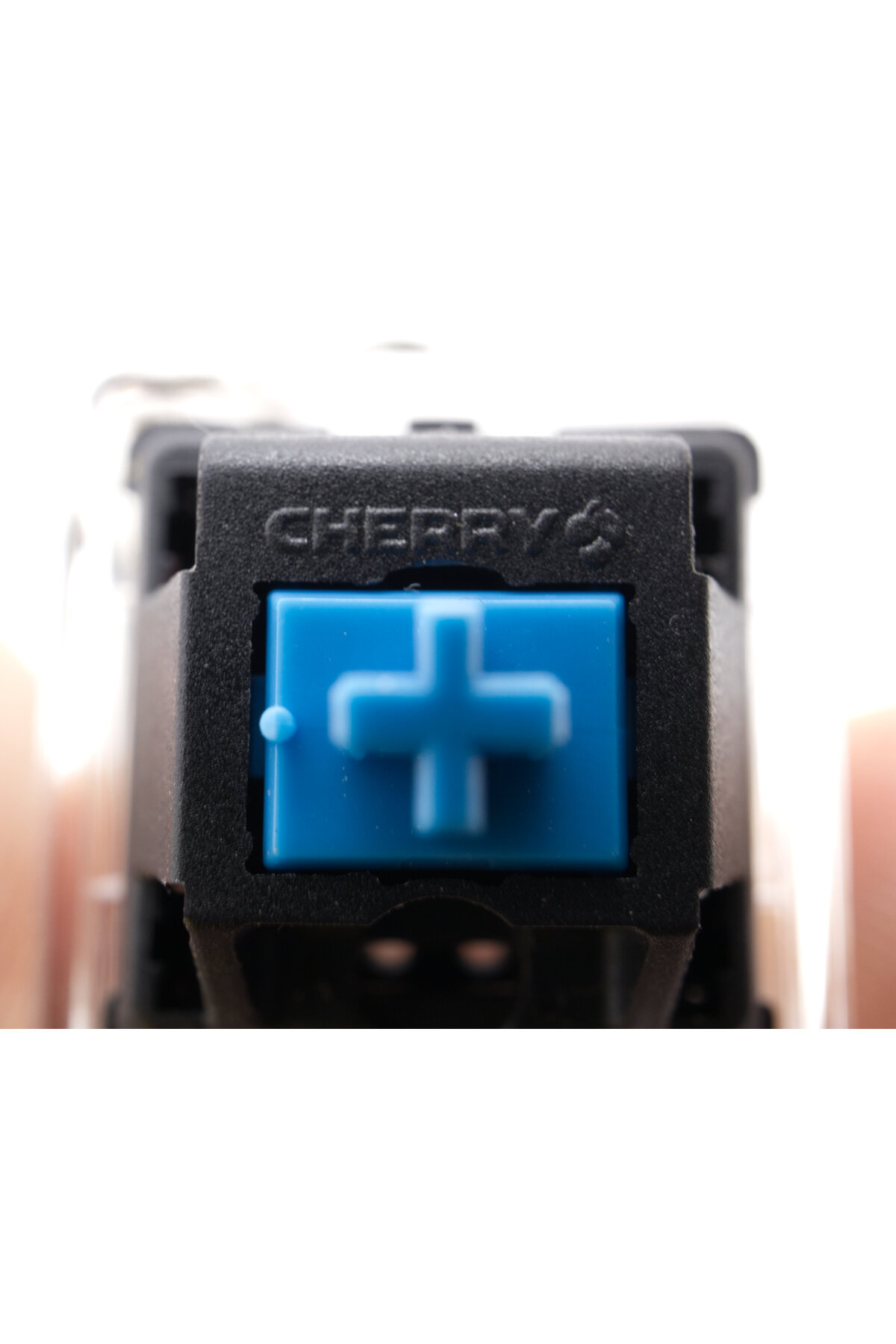 جلیقه کلید سوئیچ مکانیکی کیبورد CHERRY MX BLUE SWITCH BLUECHAIN تست SPELT