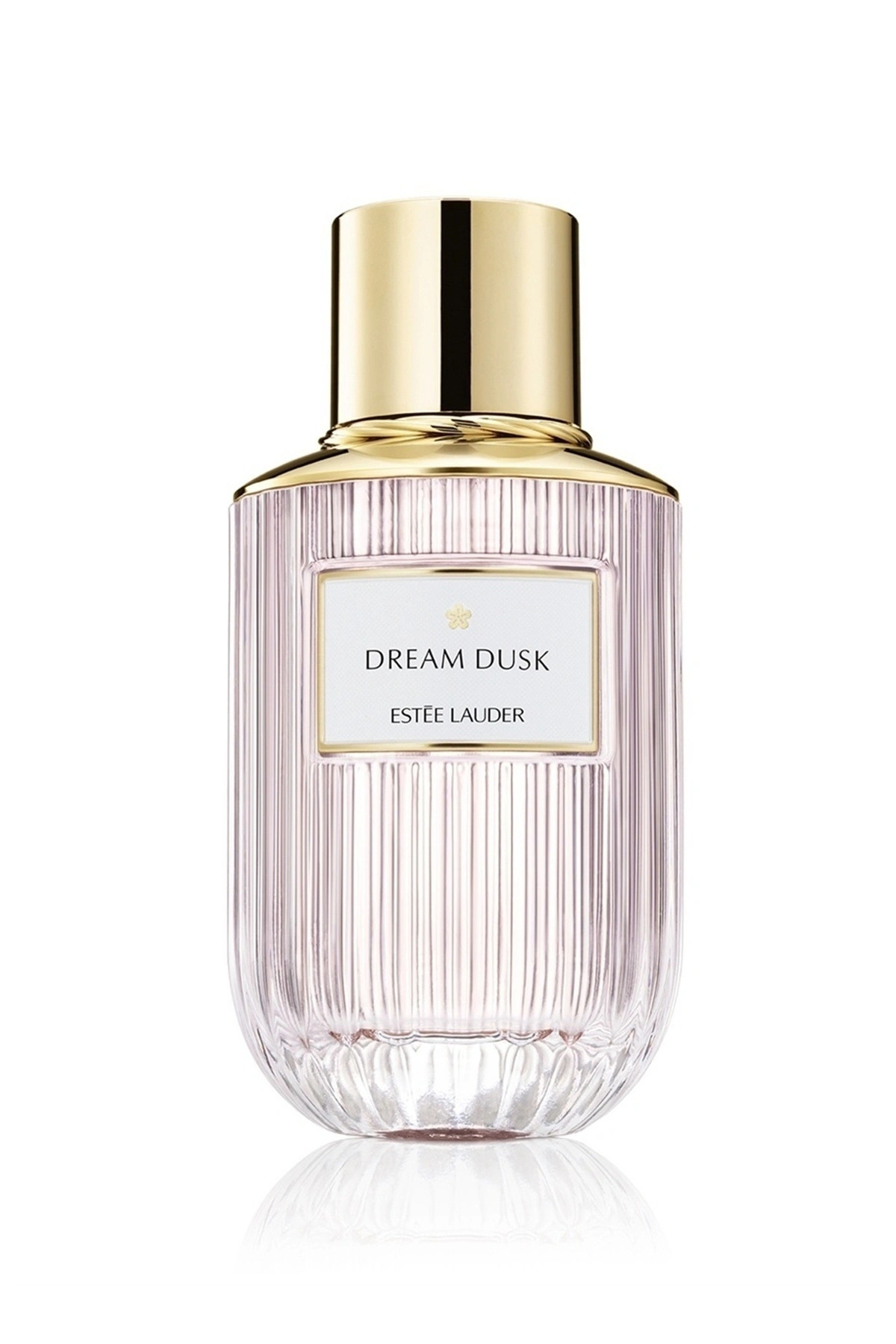 عطر لوکس بوی دایمی رویای غروب دیوانه EDP 100 میلی لیتر استی لادر Estee Lauder