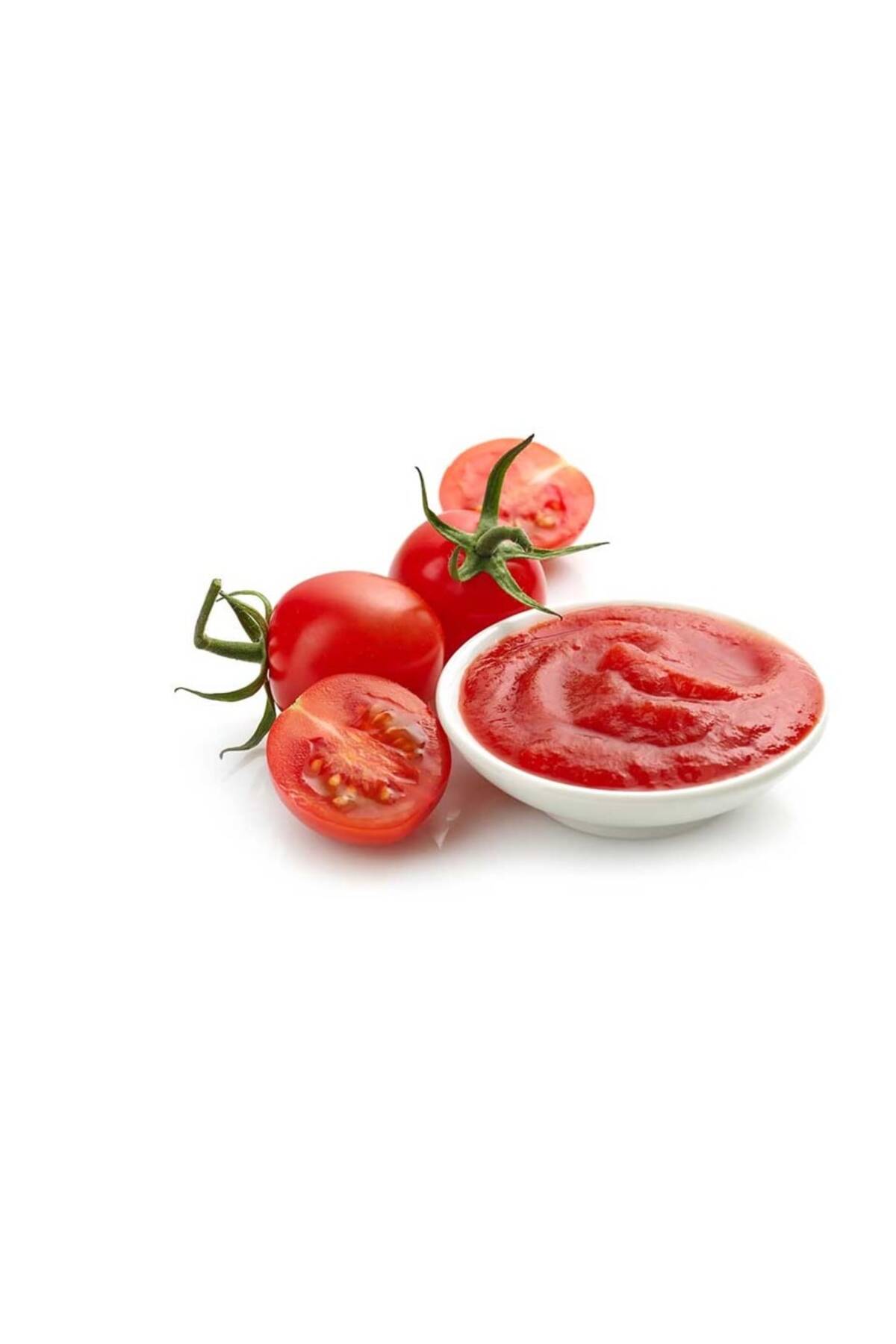چرخ گوشت دستگاه رب گوجه فرنگی خانگی با دسته روتاری آلومینیومی ضد زنگ اورجینال Genel Markalar