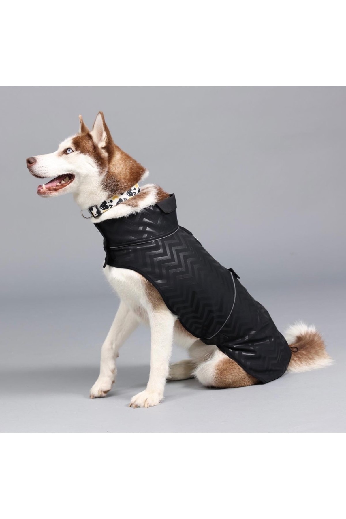 بارانی سگ Softshell Black Stripe مدل SSBLK01، مشکی، ۱۰۰٪ پلی‌استر