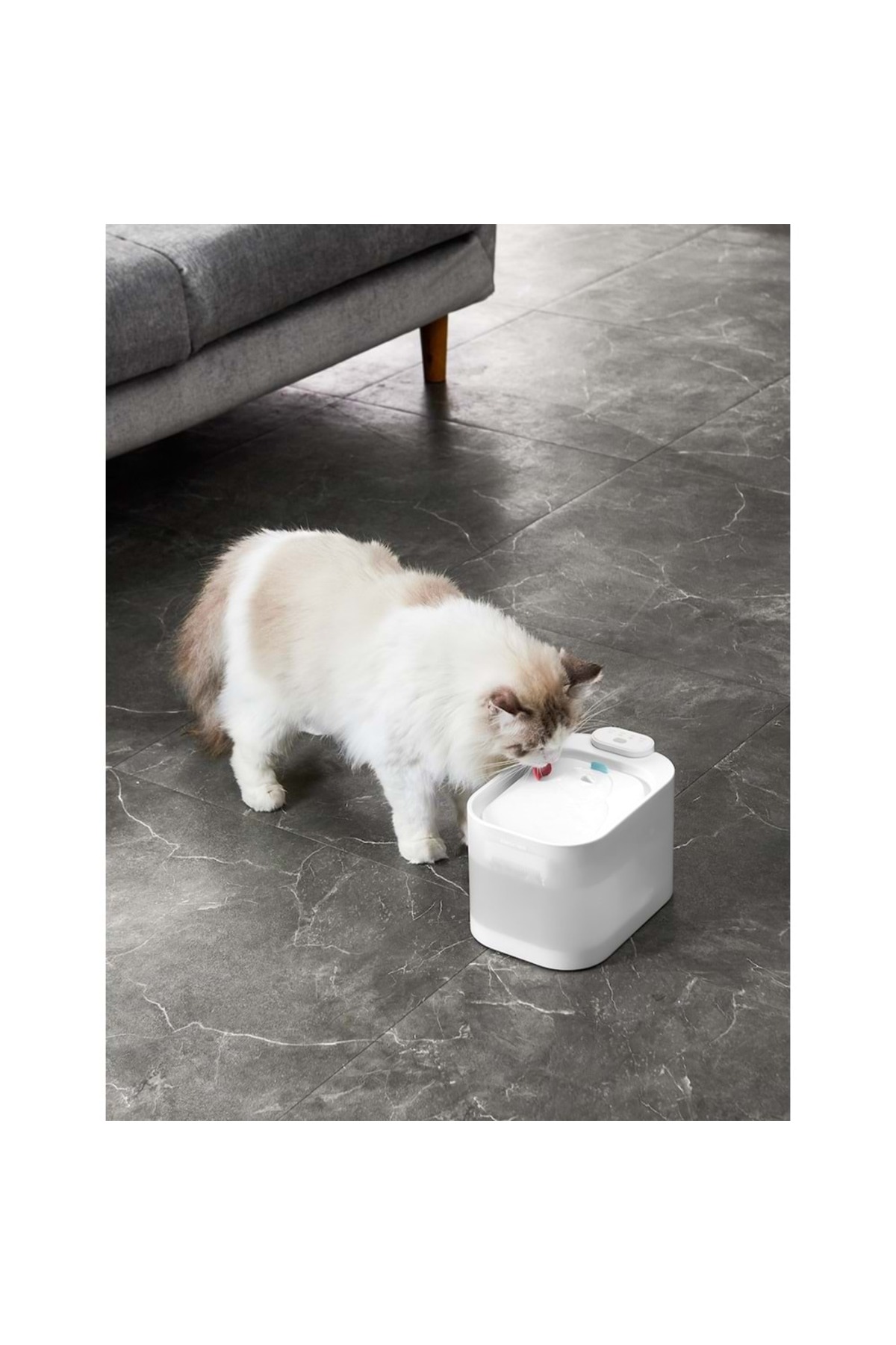 آبخوری خودکار حیوانات پاوجتر Pawgether 4S، ظرفیت ۲٫۵ لیتر 2,5L
