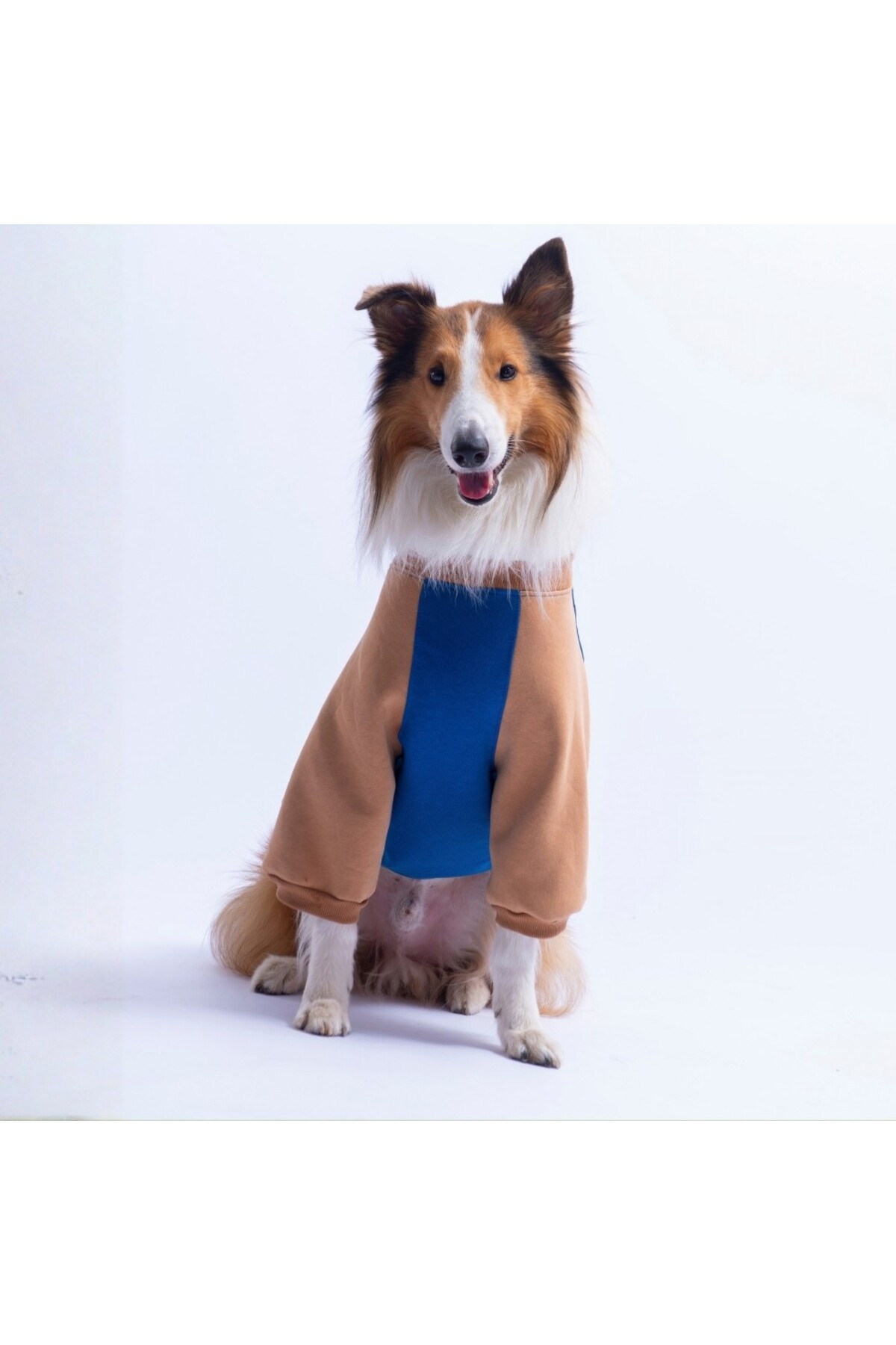 سویشرت سگ پاواستار Pawstar Boston مدل PS26_1193، مناسب نژادهای متوسط و بزرگ