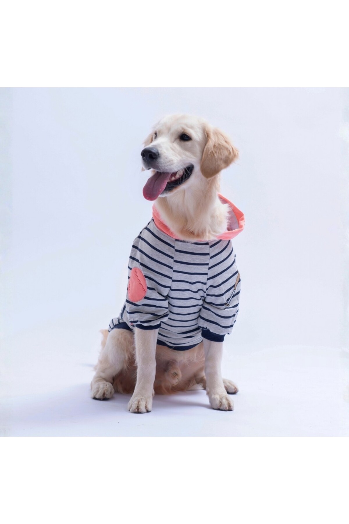 هودی سگ پاوستار Pawstar Seattle Pitch، صورتی، مناسب نژادهای متوسط و بزرگ