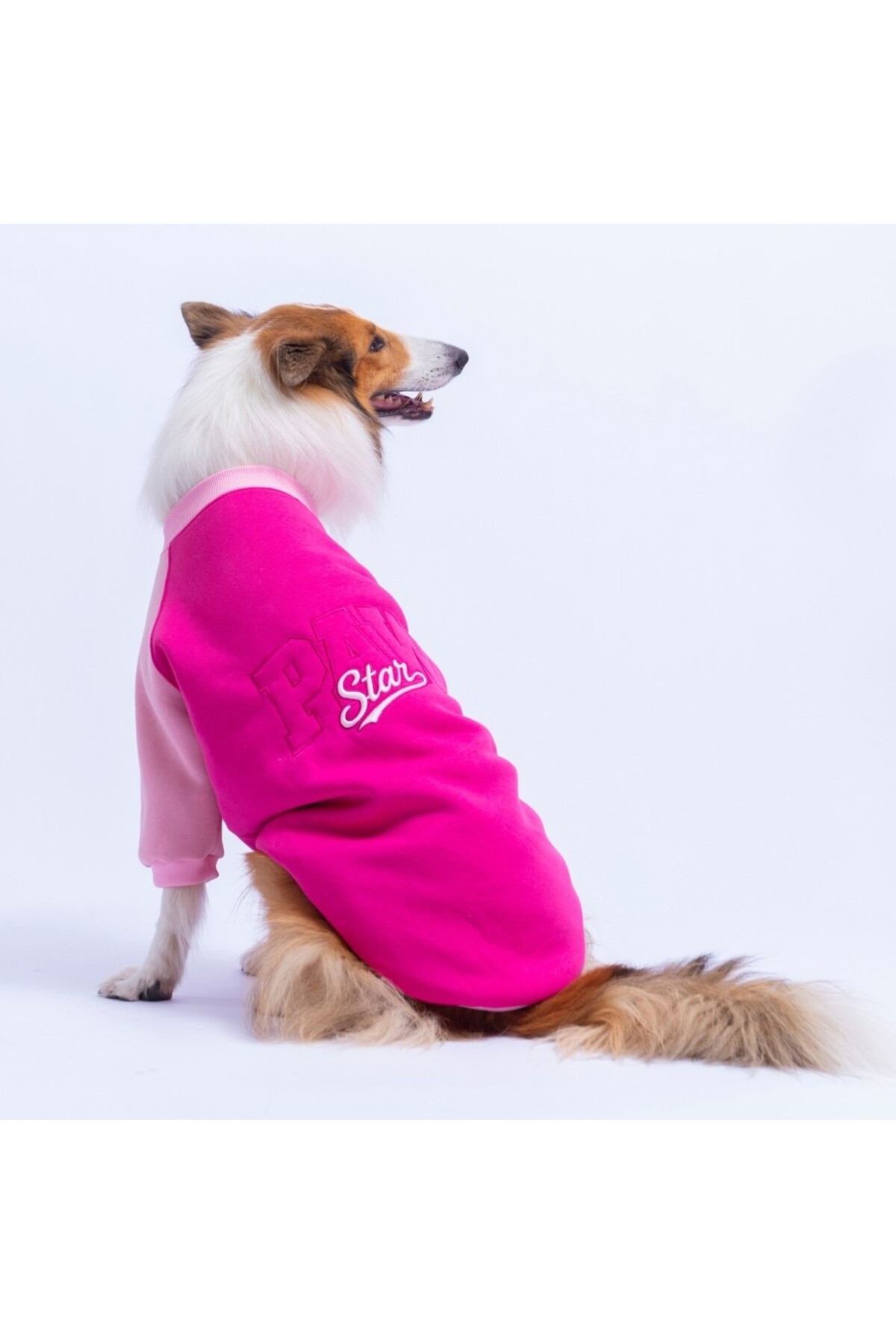 سویشرت سگ پاوستار Pawstar Boston صورتی برای نژادهای متوسط و بزرگ