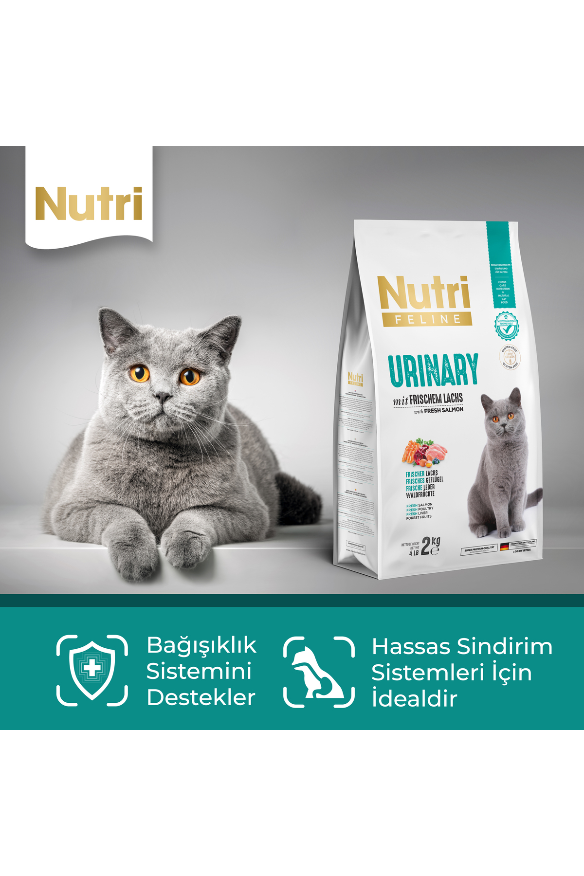 غذای خشک گربه نوتری فلاین Nutri Feline Urinary، ۲ کیلوگرم