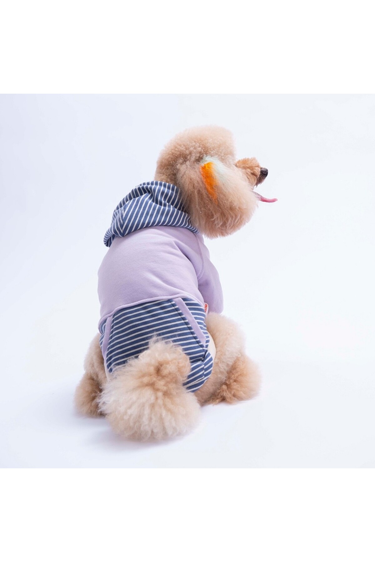 هودی سگ پاوستار Pawstar مدل Sera Stripe، بنفش، کد PS26-1149