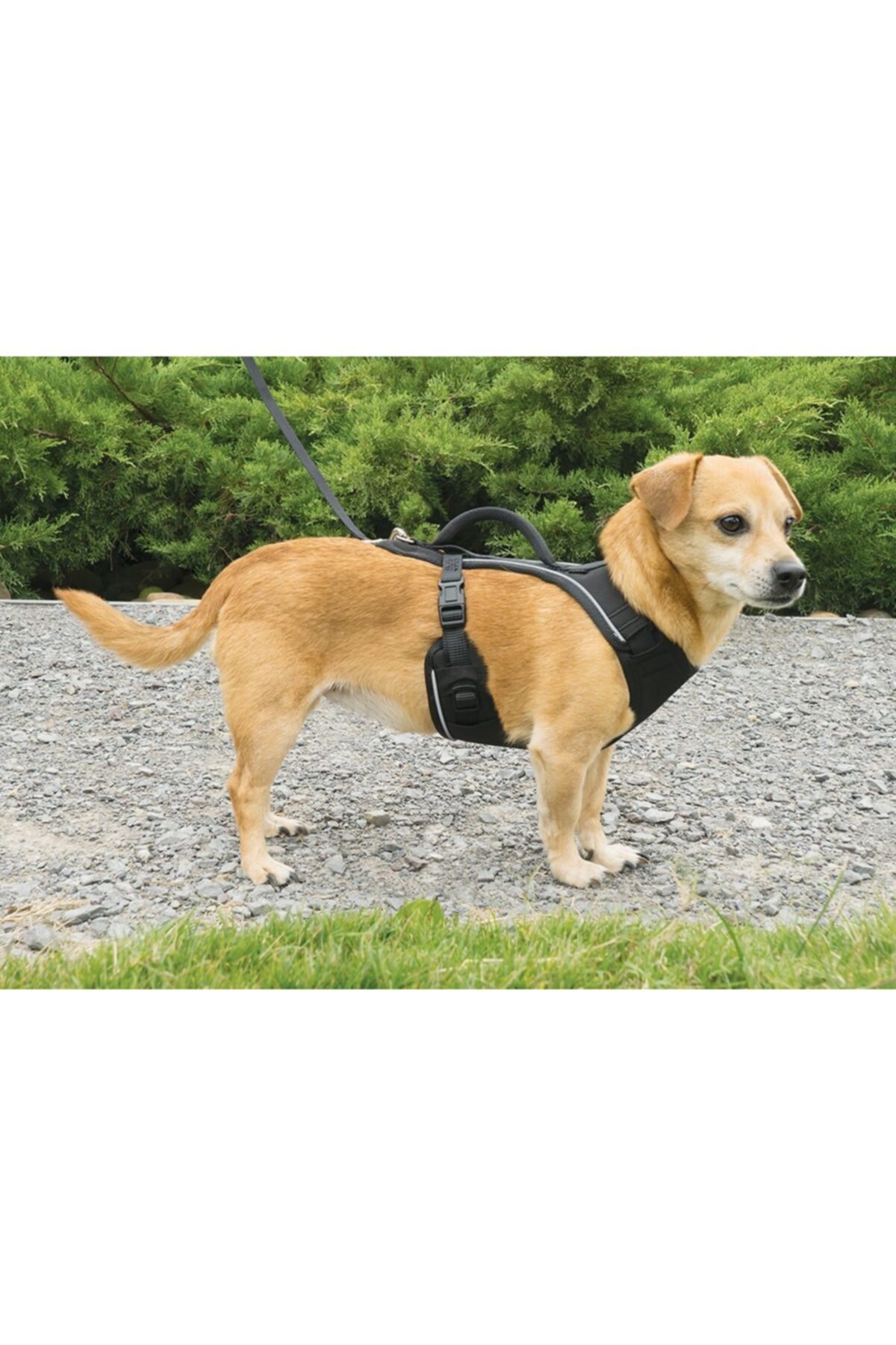 قلاده سینه‌ای سگ پت‌سیف PetSafe Easy Sport Harness، سایز Extra Small، ۳۸–۵۶ سانتی‌متر
