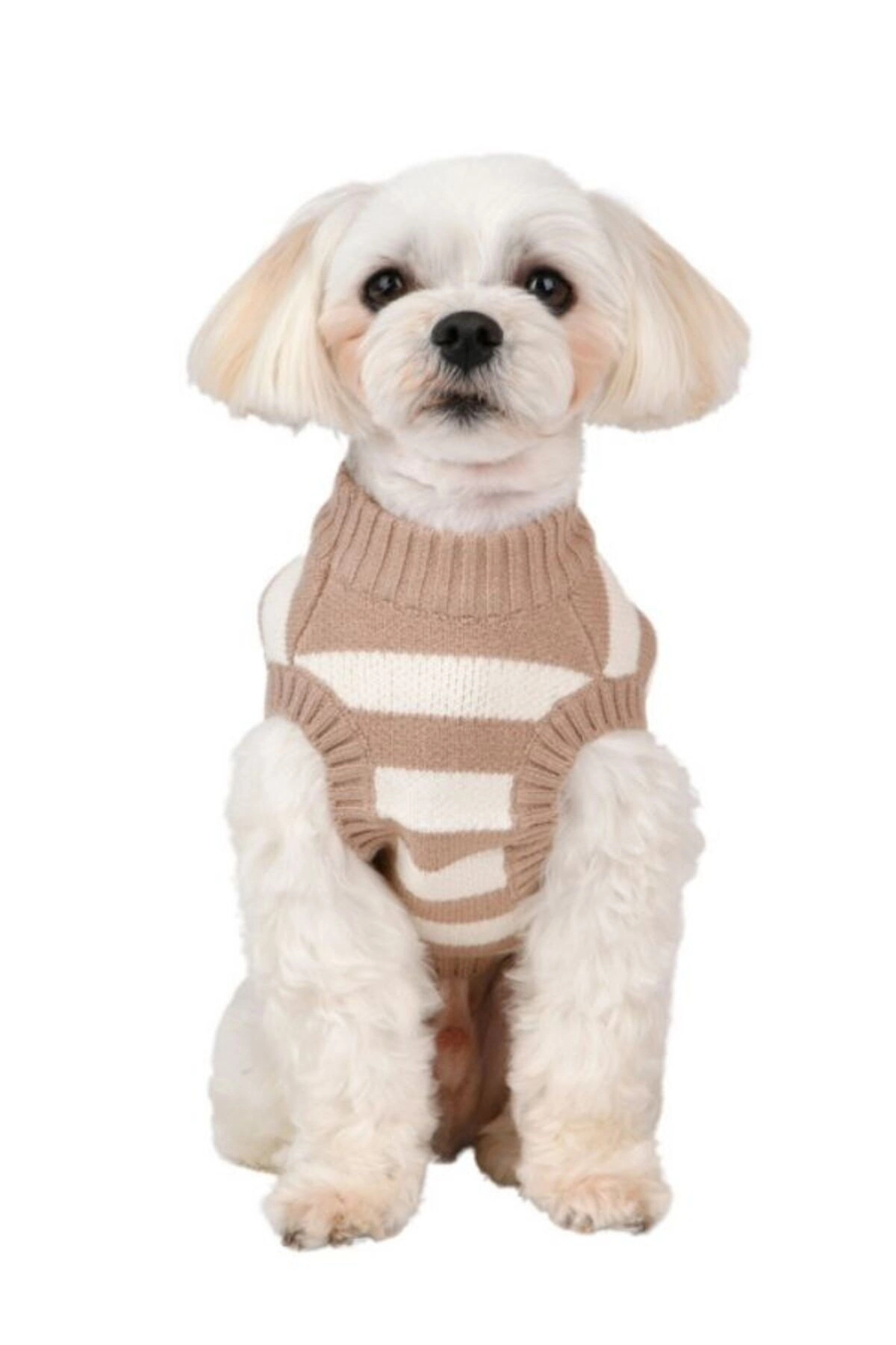 لباس سگ پوپیا Puppia مدل Ollie، بژ