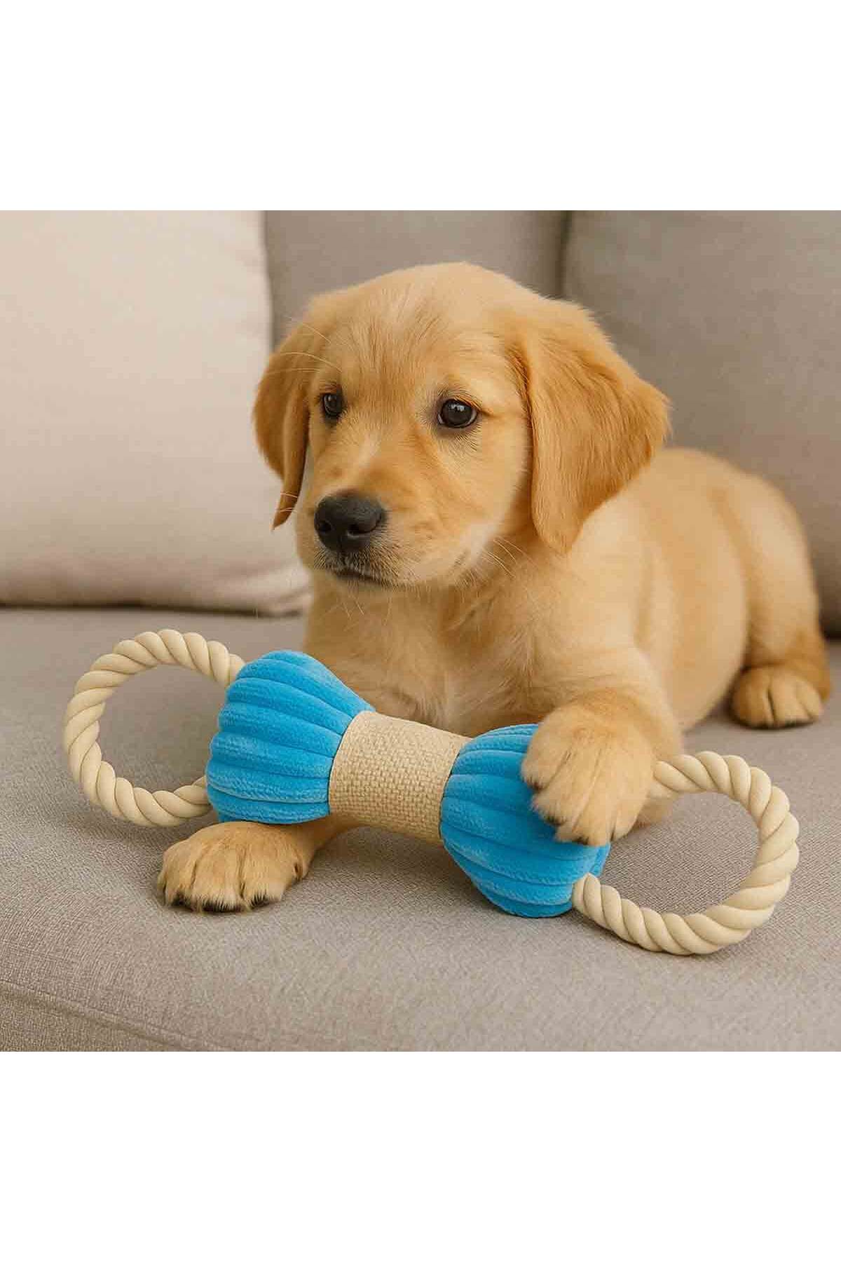 اسباب‌بازی پولیشی استخوانی سگ Tugo مدل T02006498 ام‌پتس M-PETS چندرنگ