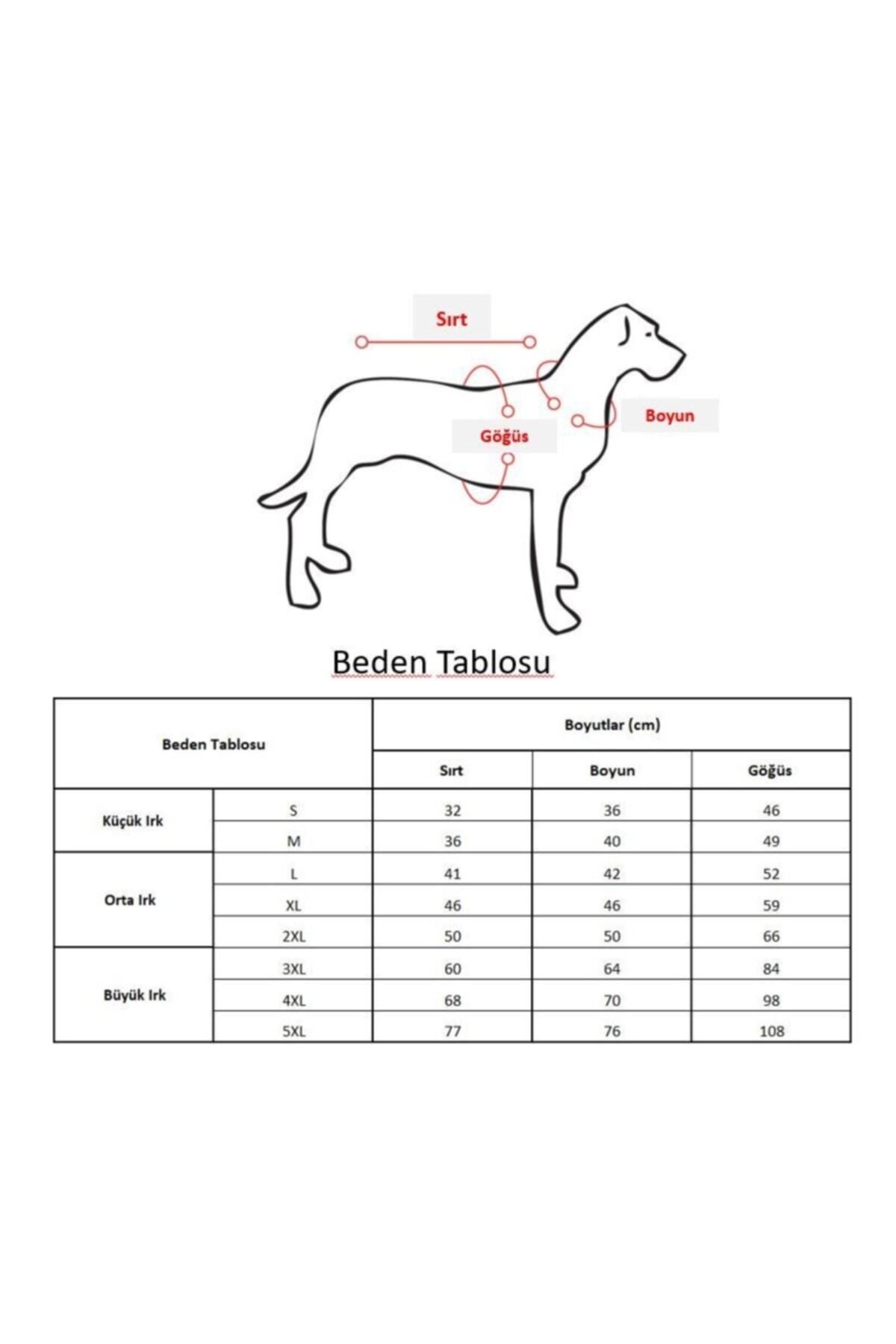 بارانی سگ زوبی داگز Zubi Dogs Zubirain مدل ZBR004 سبز