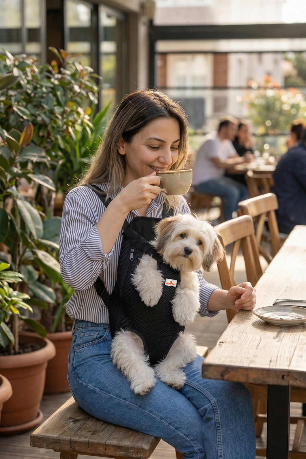 آغوشی حمل گربه و سگ گوبی‌پت GOBYPET سایز M، مدل 005976 چندرنگ