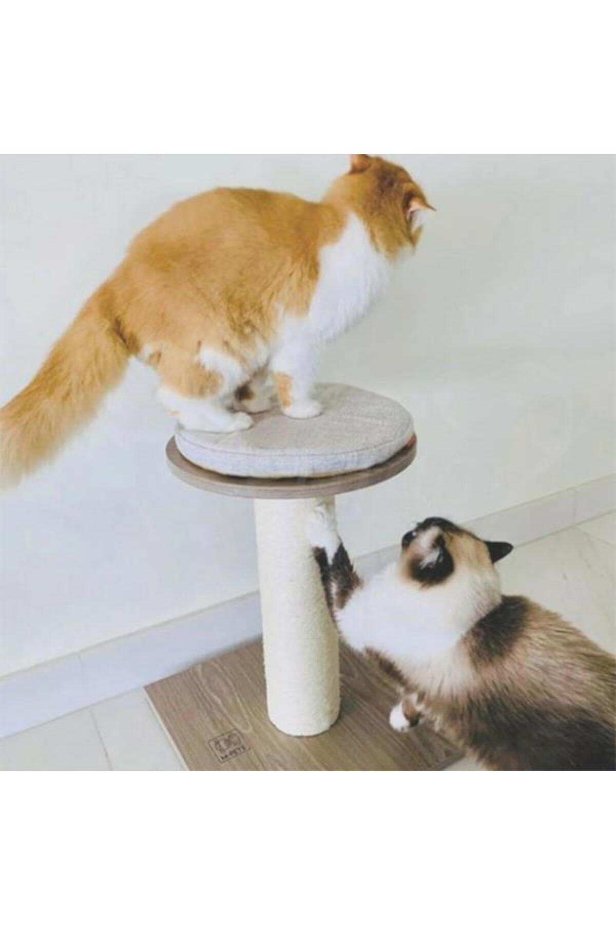 اسکرچر گربه ام‌پتس M-PETS Elite Marilyn، ۴۰×۴۰×۴۸ سانتی‌متر