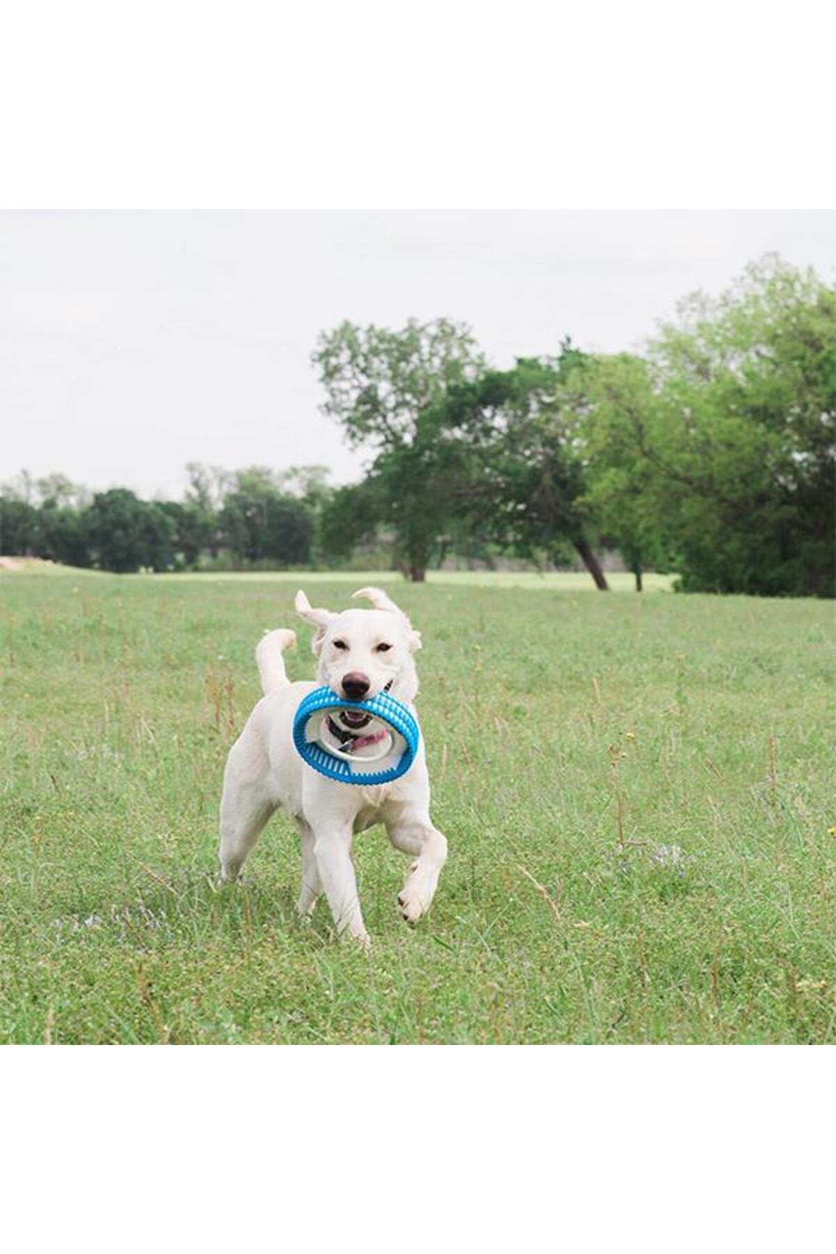 حلقه بازی سگ چاکیت Chuckit Rugged Fetch Wheel مدل 32223، آبی و نارنجی