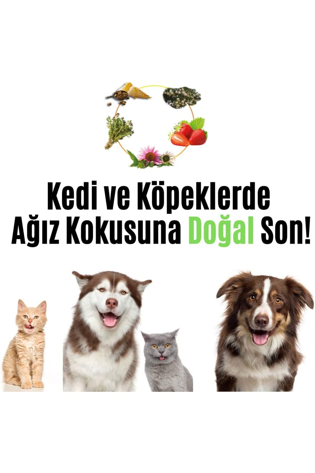 خمیر دندان گربه و سگ ویتوژن VETUGEN با ترکیبات فعال ۱۰۰٪ طبیعی