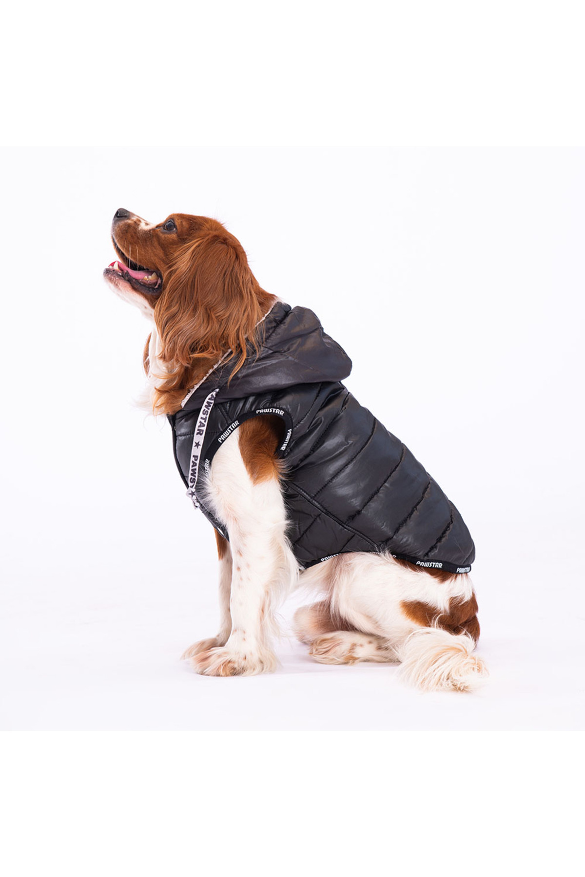 جلیقه بارانی سگ پاوستار Pawstar مدل V2310، مشکی