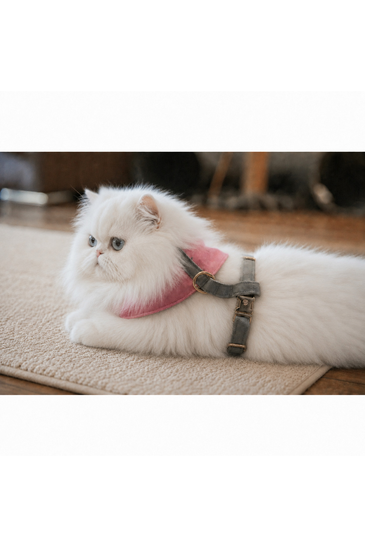 قلاده سینه‌ای گربه گوپاگو GoPawGo، سری Supreme Soft، صورتی