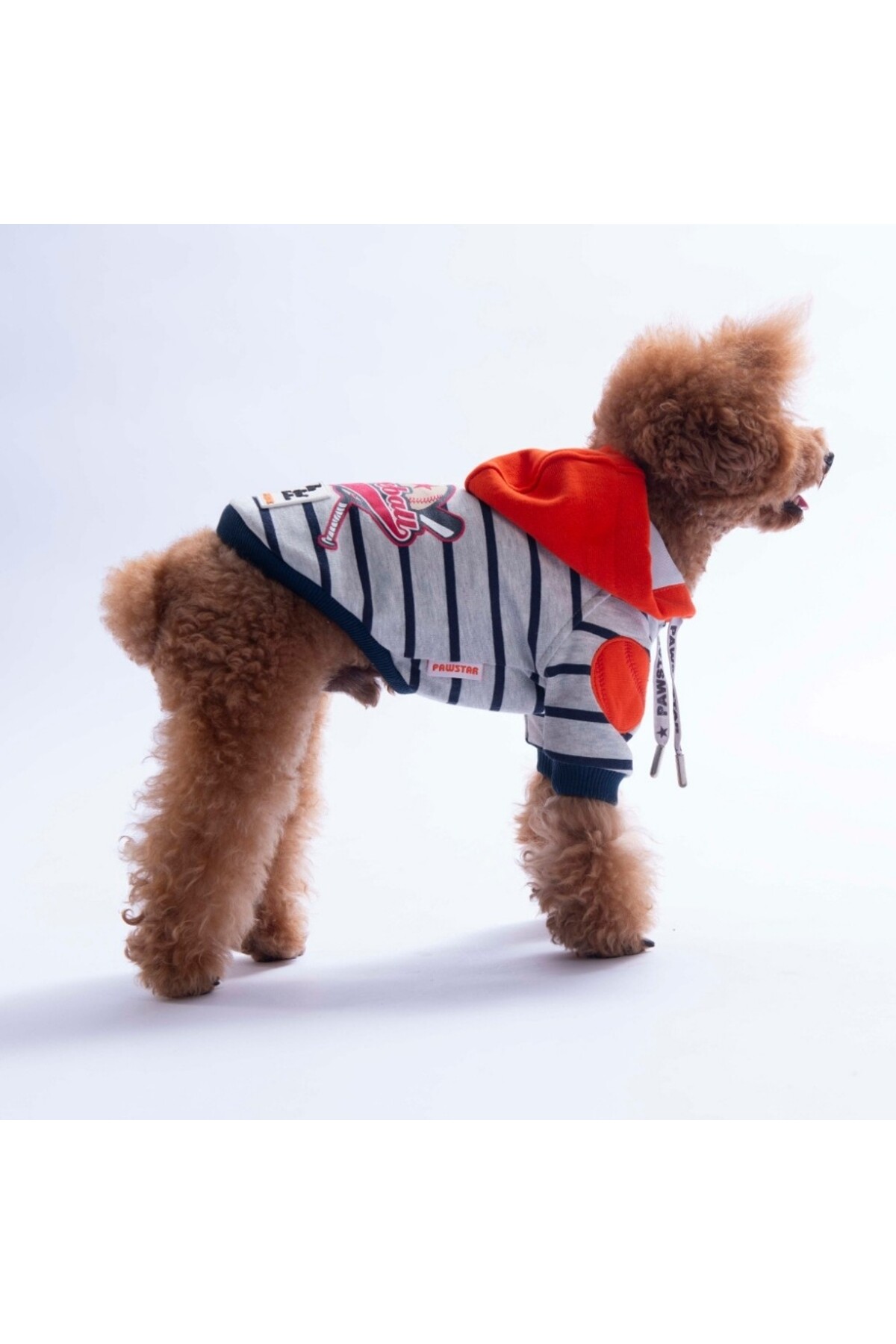 هودی سگ پاوستار Pawstar Seattle Pitch مدل PS26-1163، نارنجی