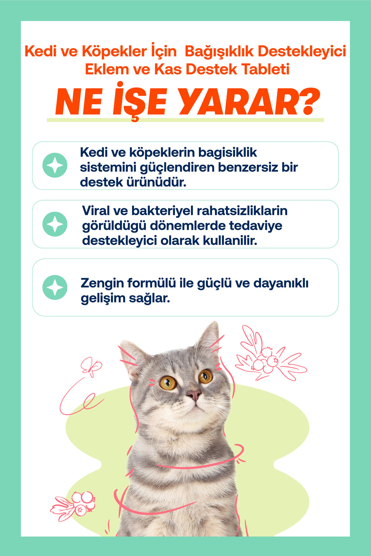 قرص مکمل مفاصل گربه و سگ بیوفلین BioFeline، حاوی گلوکزامین، MSM و Immune C، ۷۵ عدد