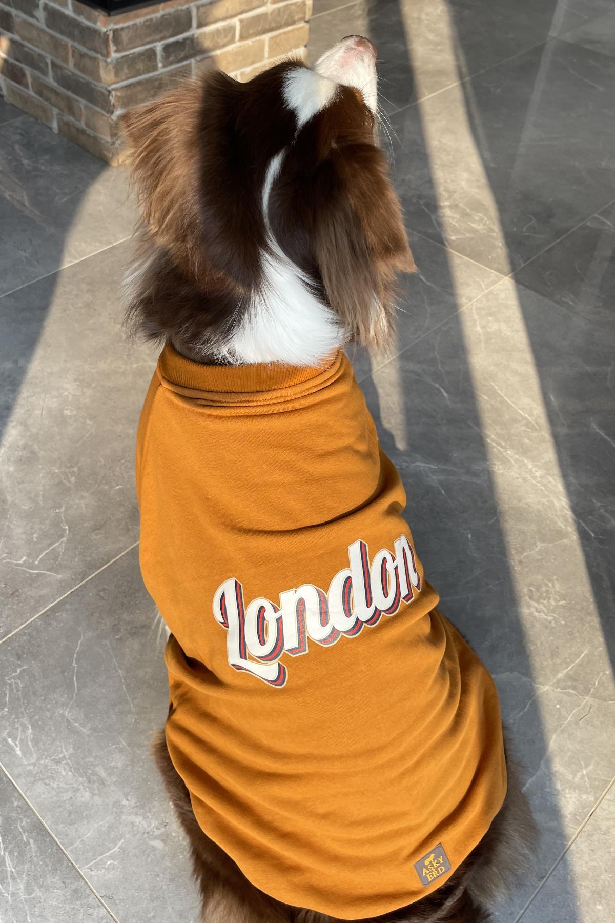 سویشرت سگ آسکی‌اندارد Asky&Erd، Dream City Collection - London، قهوه‌ای