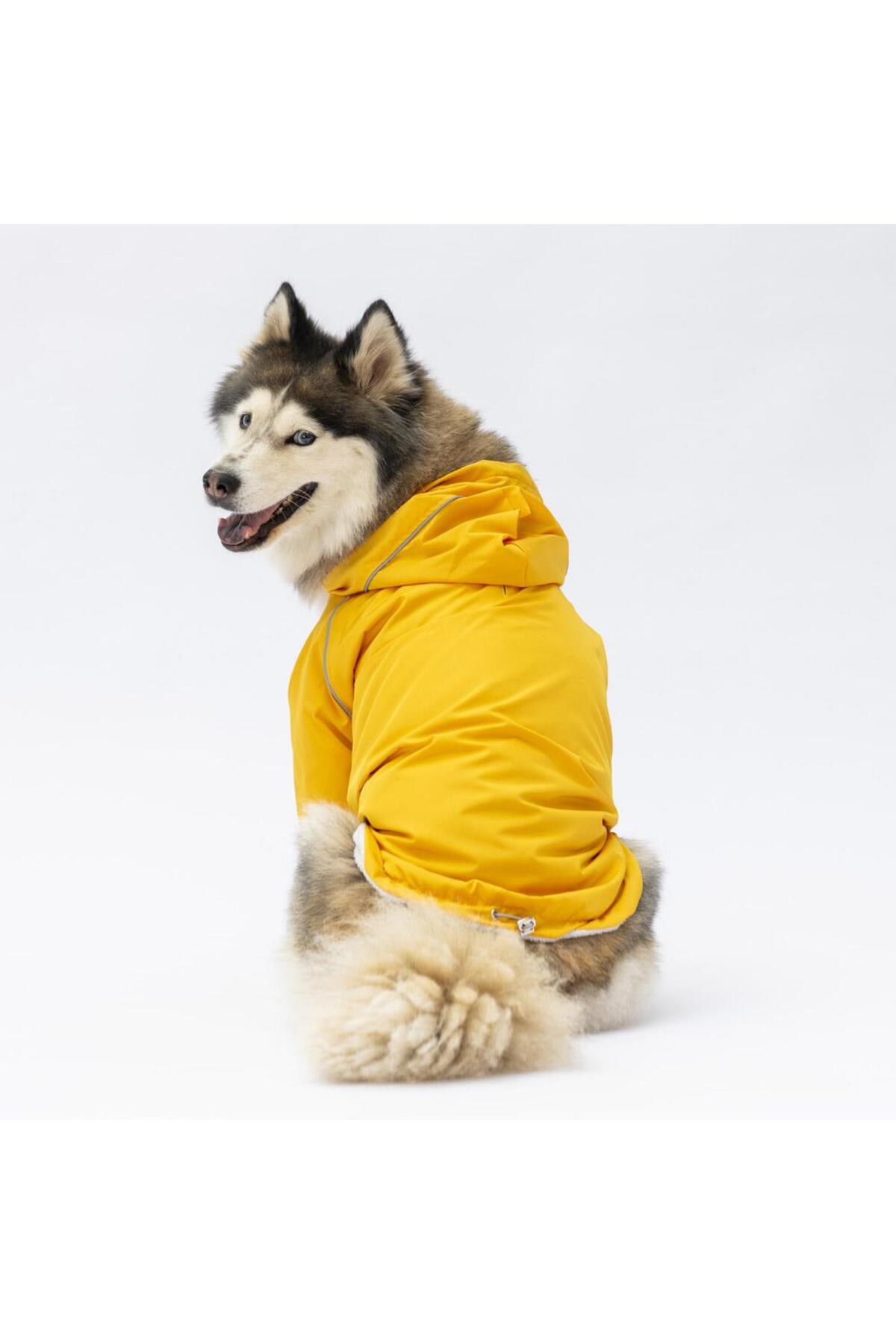 بارانی سگ نژاد بزرگ پاوستار Pawstar Pluvia مدل 22554