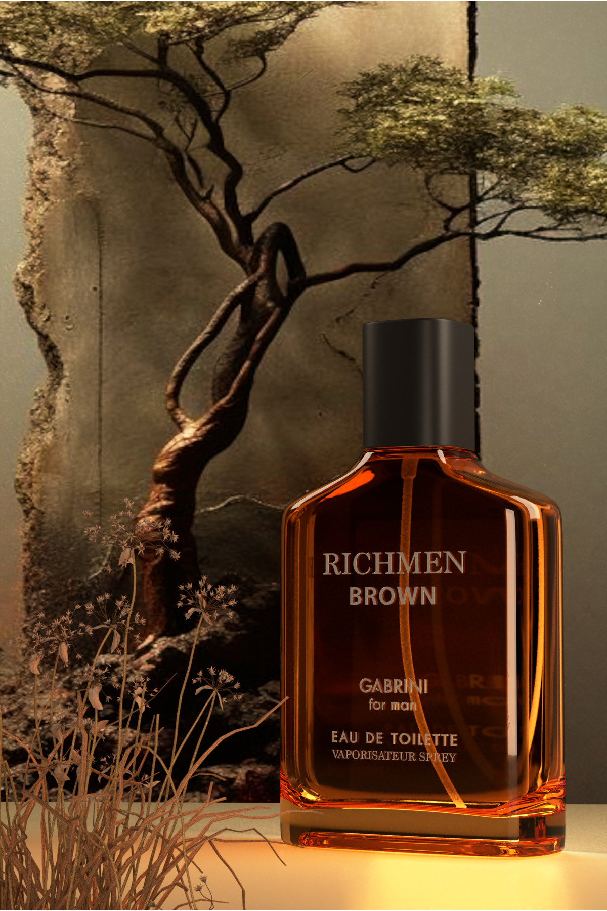 عطر مردانه RICHMEN BROWN ادوتویلت برای 100 میل Gabrini